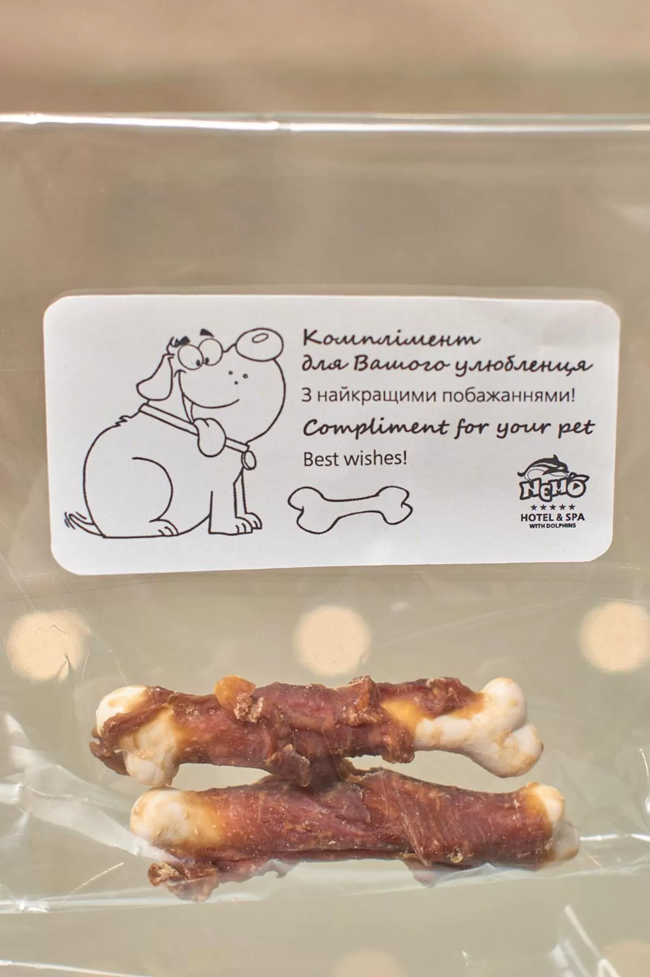 Animals in Hotel & Spa NEMO with dolphins