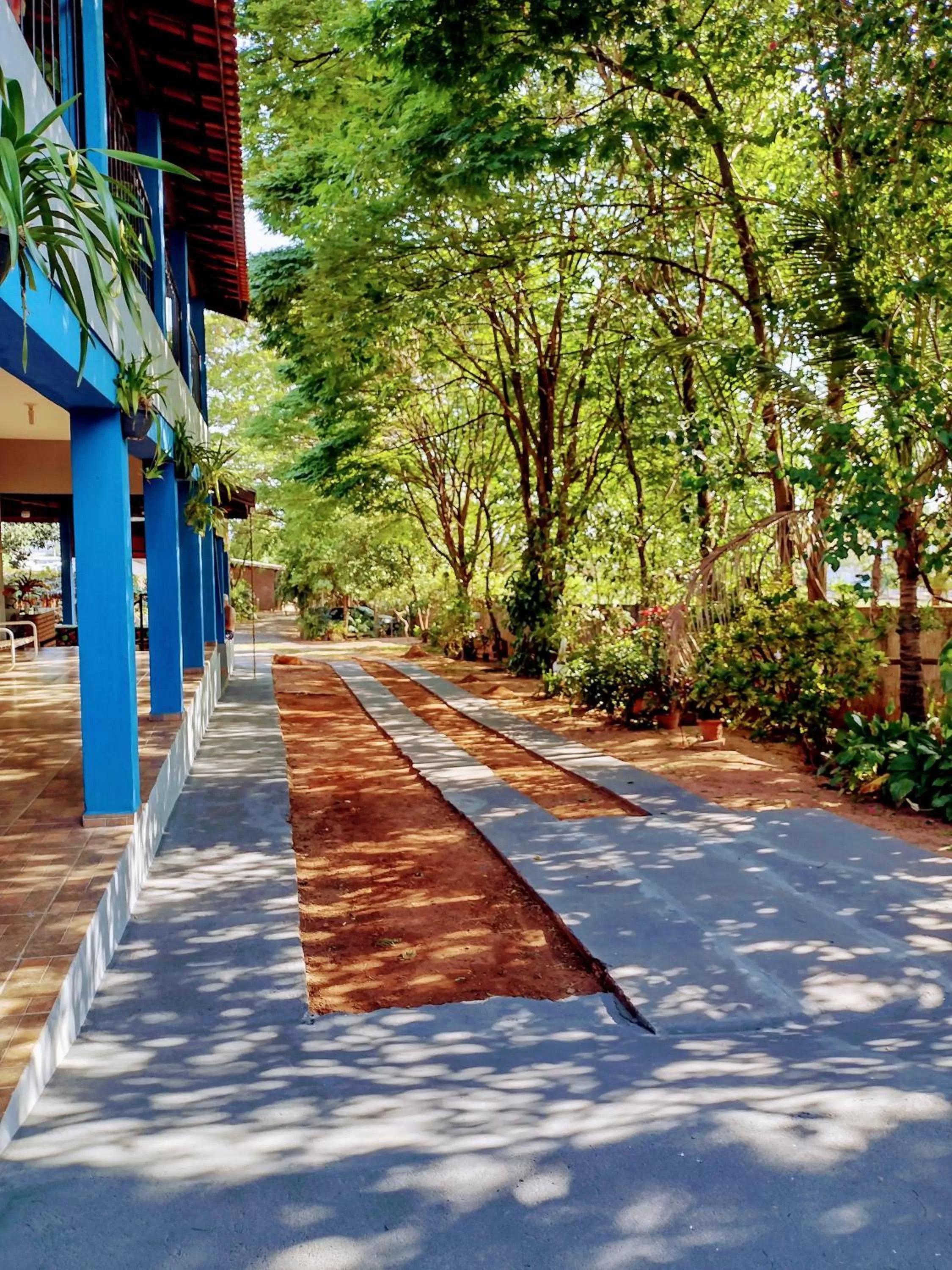 Suits - Canto do sabia