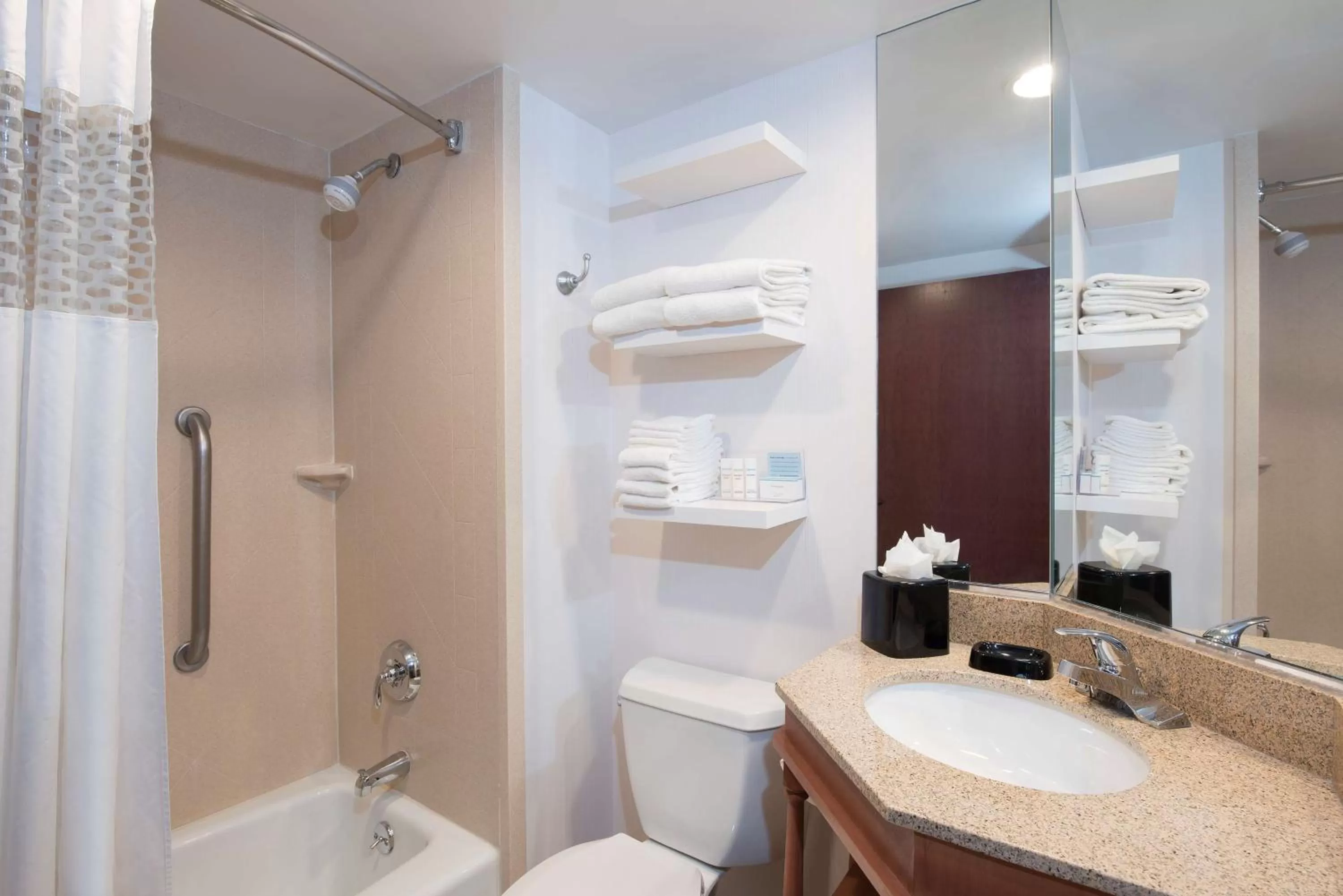 Bathroom in Hampton Inn Ann Arbor - North