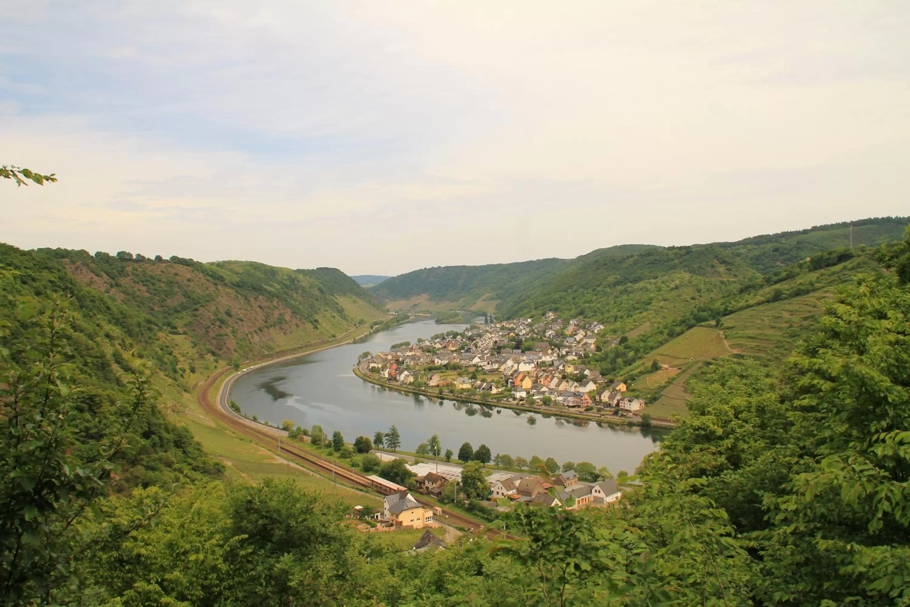 Natural landscape in Moselhotel & Restaurant Zur Traube GmbH