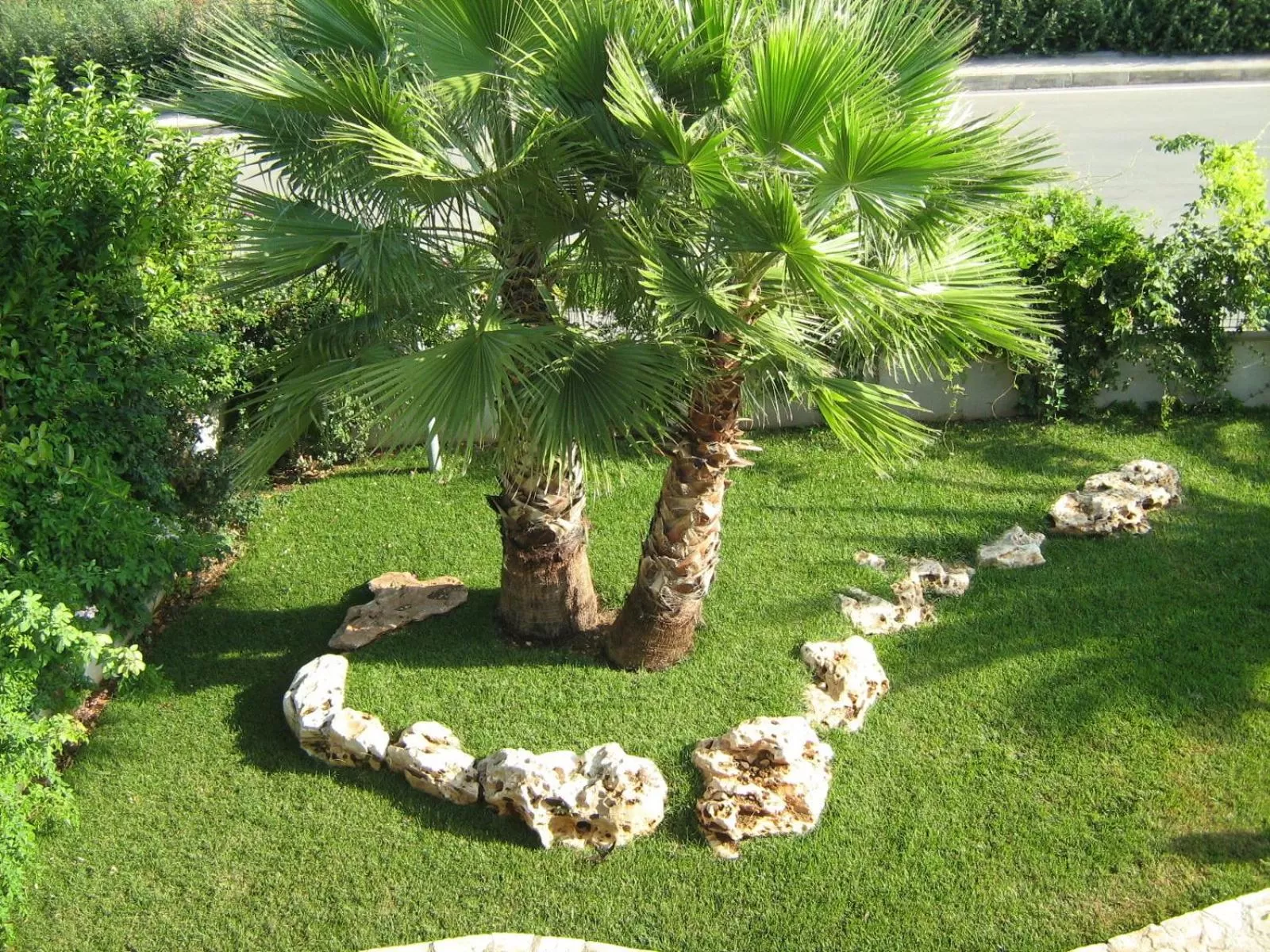 Bird's eye view, Garden in Le Mediterranee