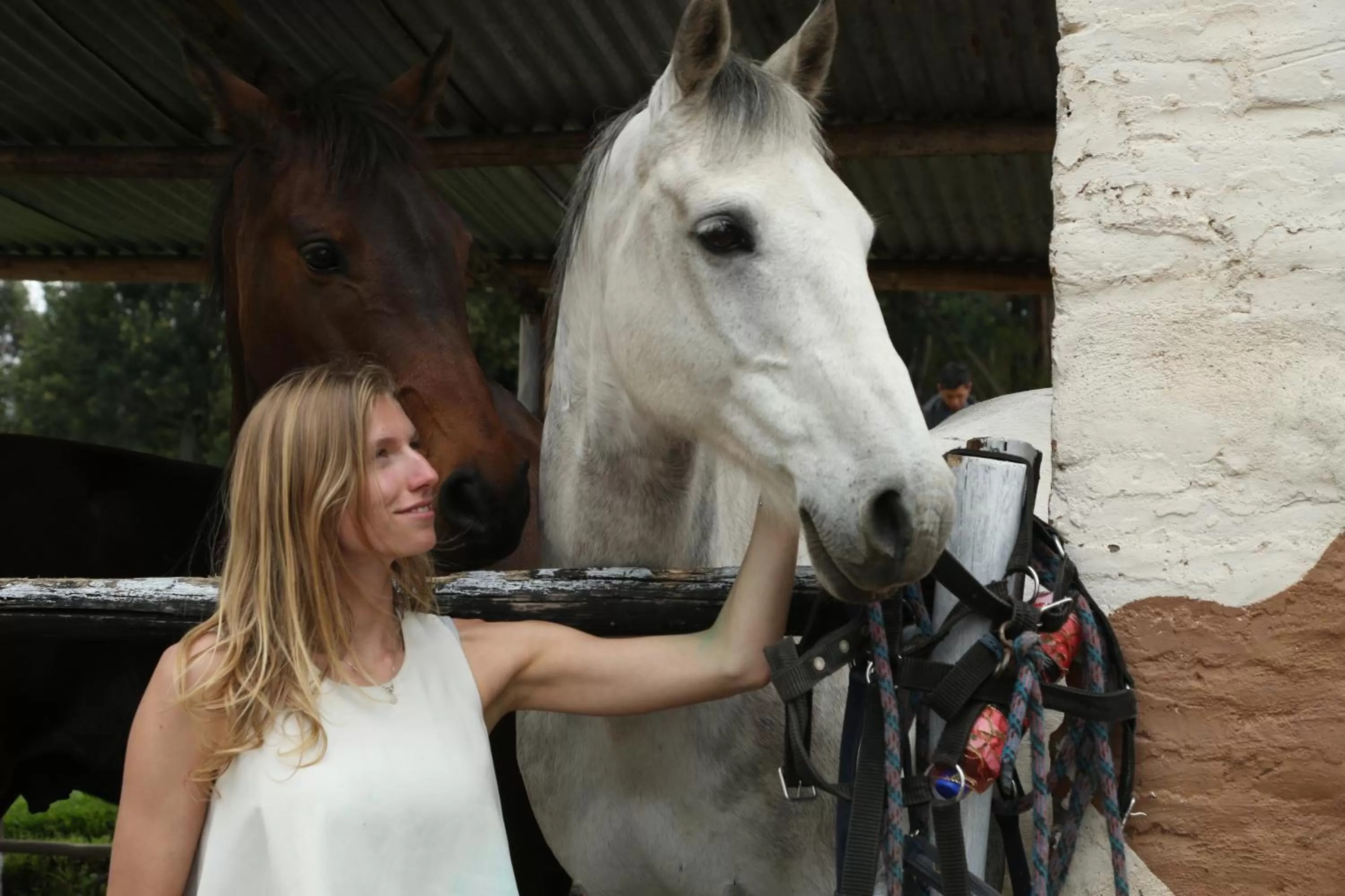 Hosteria Papagayo Cotopaxi