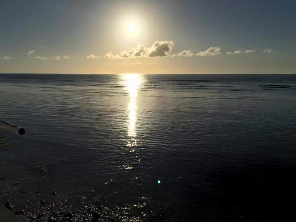 Property building in Down South 118 Beach Resort