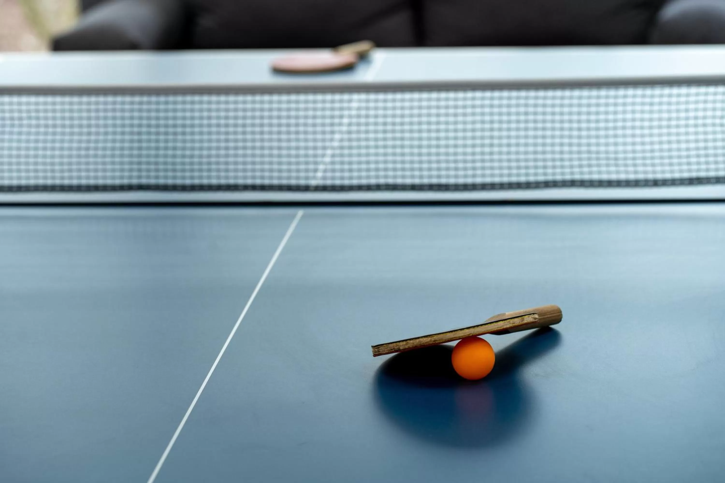 Table tennis in Zamárdi TOK