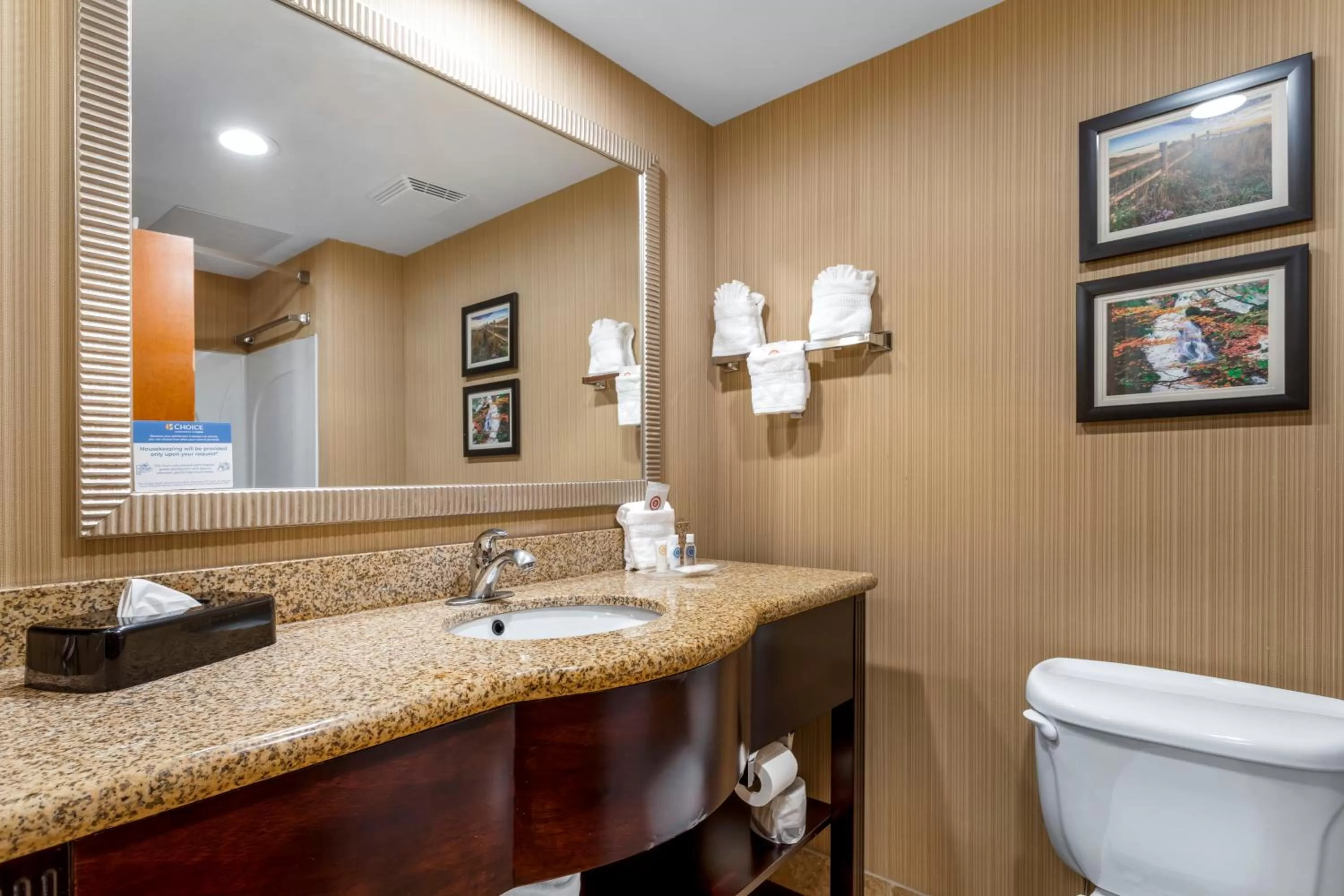 Bathroom in Comfort Suites Knoxville North