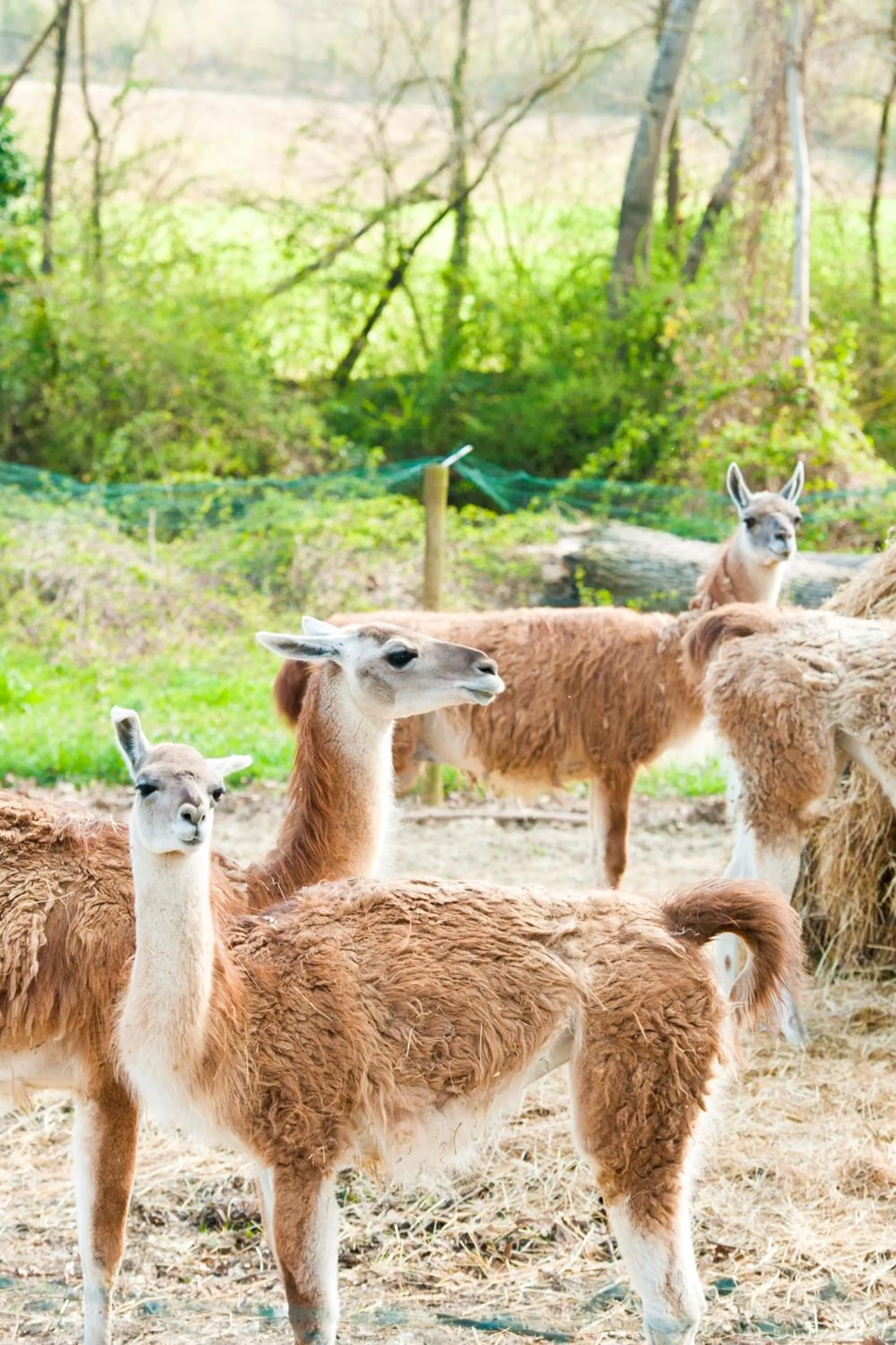 Day in Relais Todini - Residenza d'epoca - Luxury Historic house
