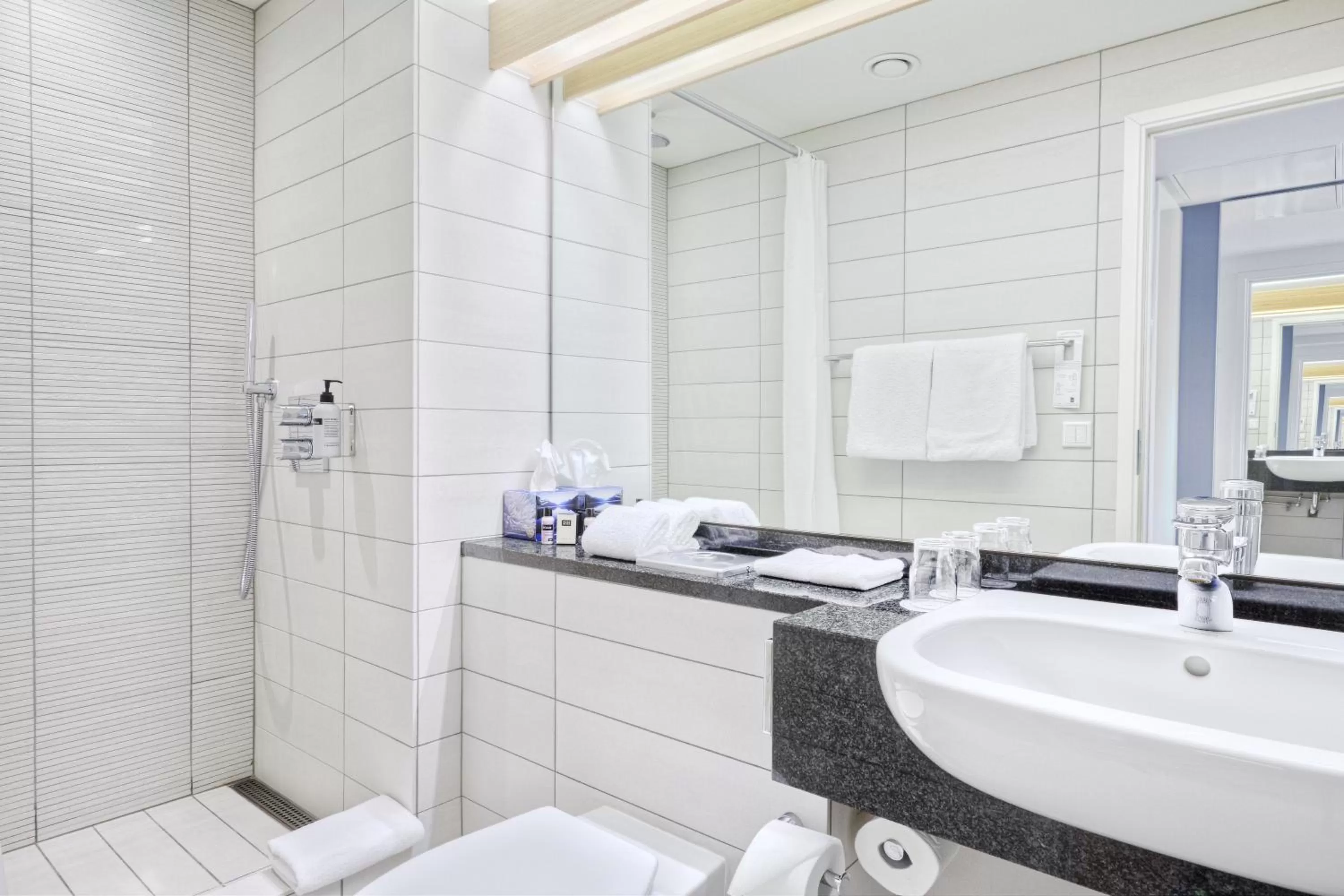 Shower in Reykjavik Natura - Berjaya Iceland Hotels