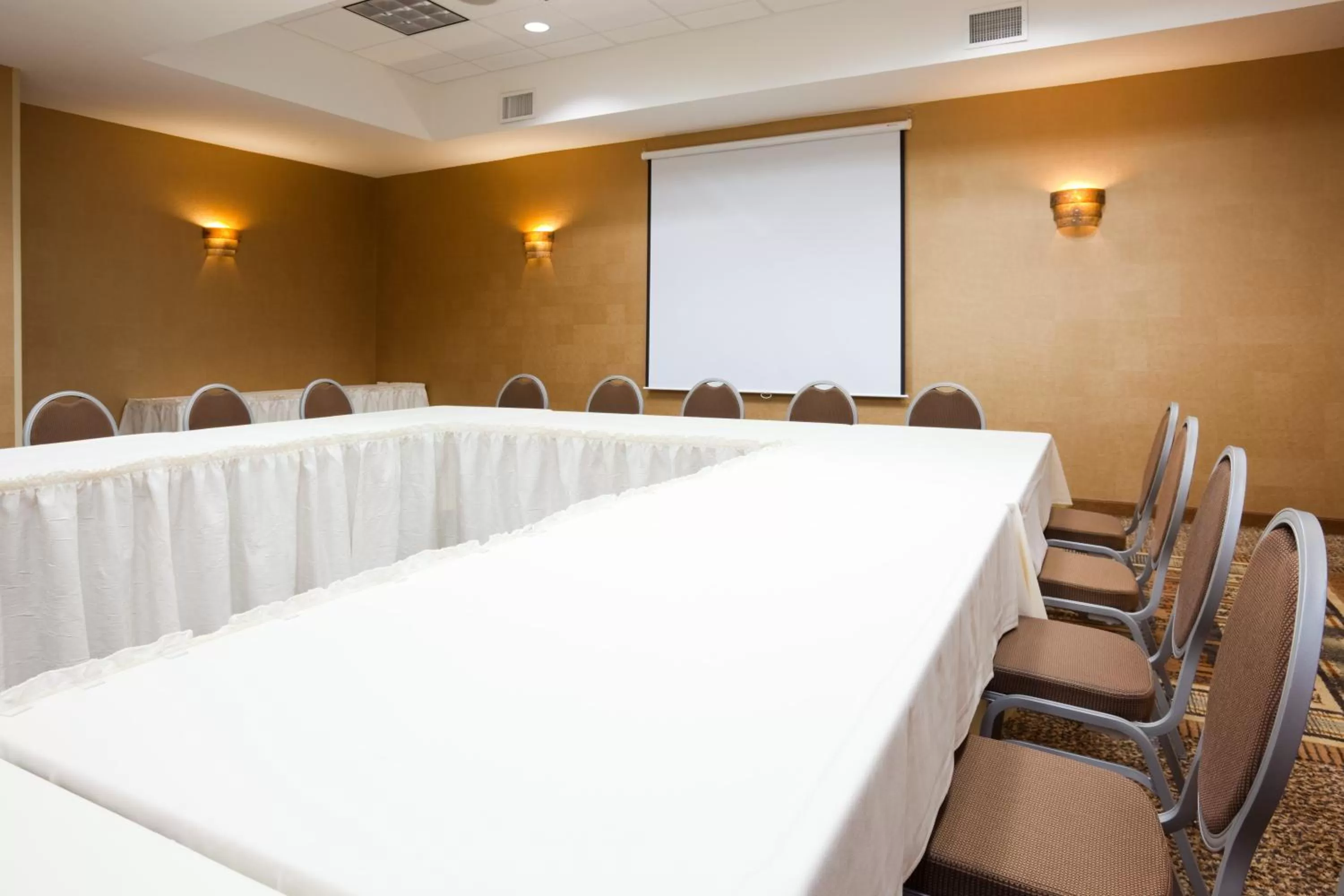 Meeting/conference room in Holiday Inn & Suites Green Bay Stadium by IHG