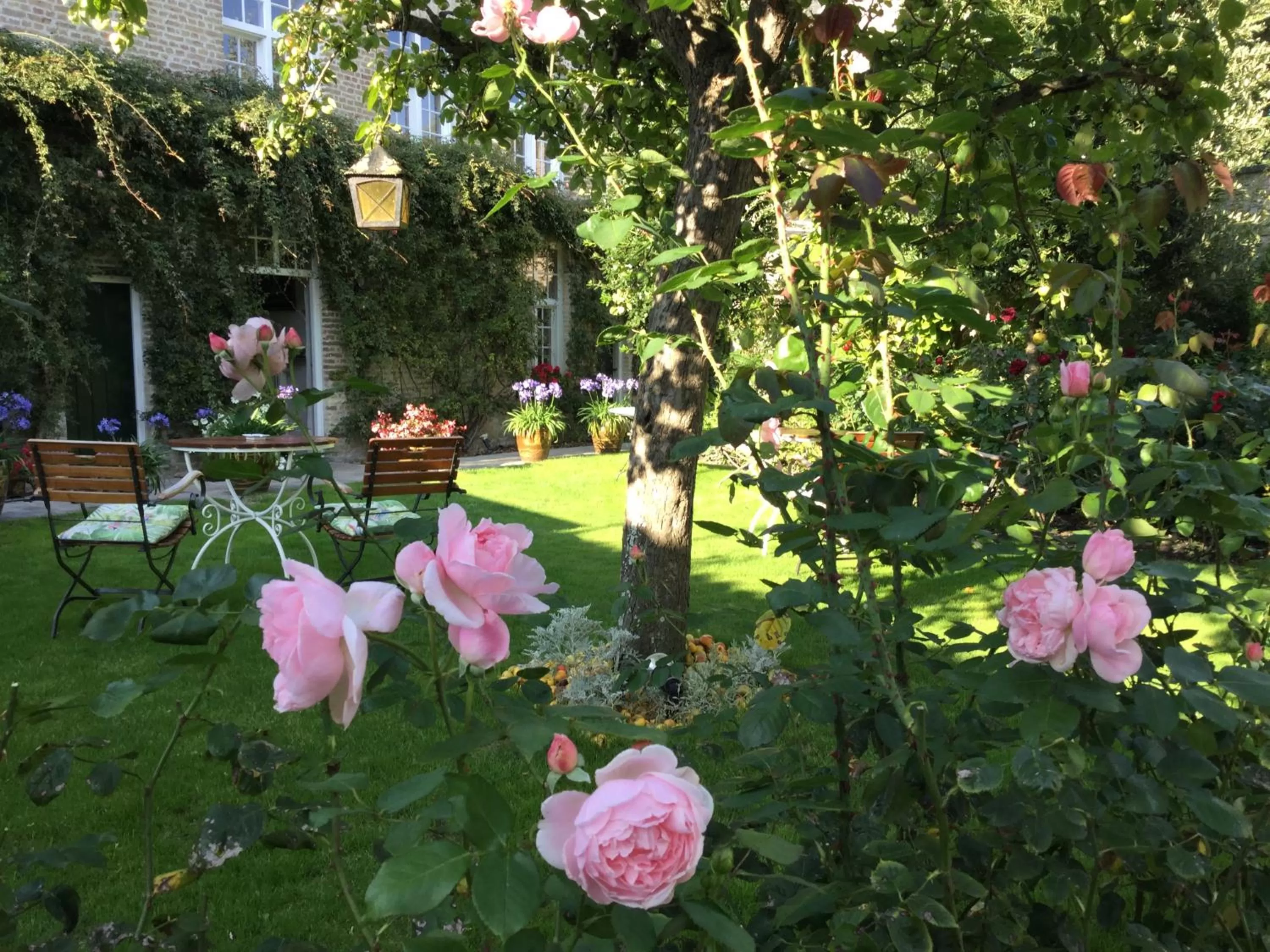 Garden in B&B Auberge De Klasse