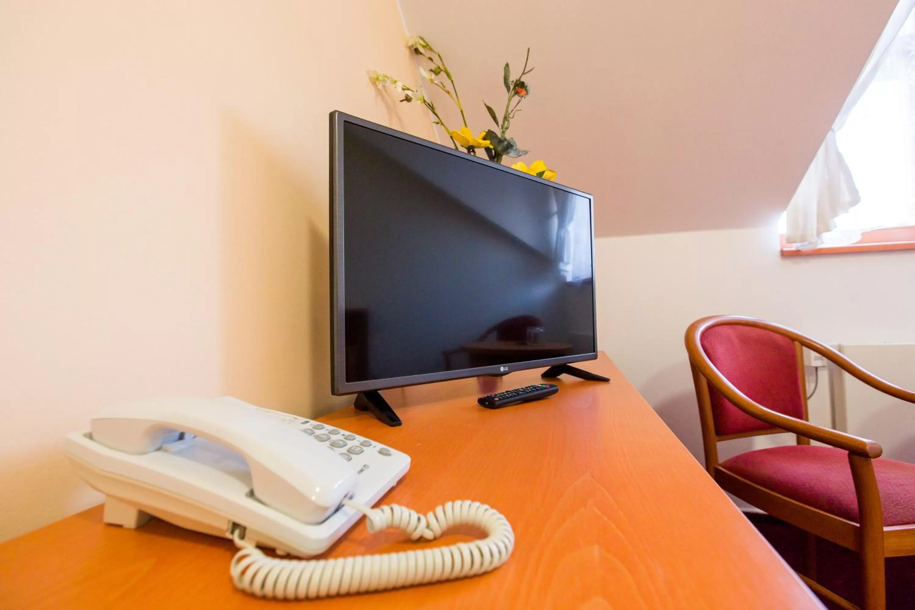 TV and multimedia in Hotel U Beránka Náchod