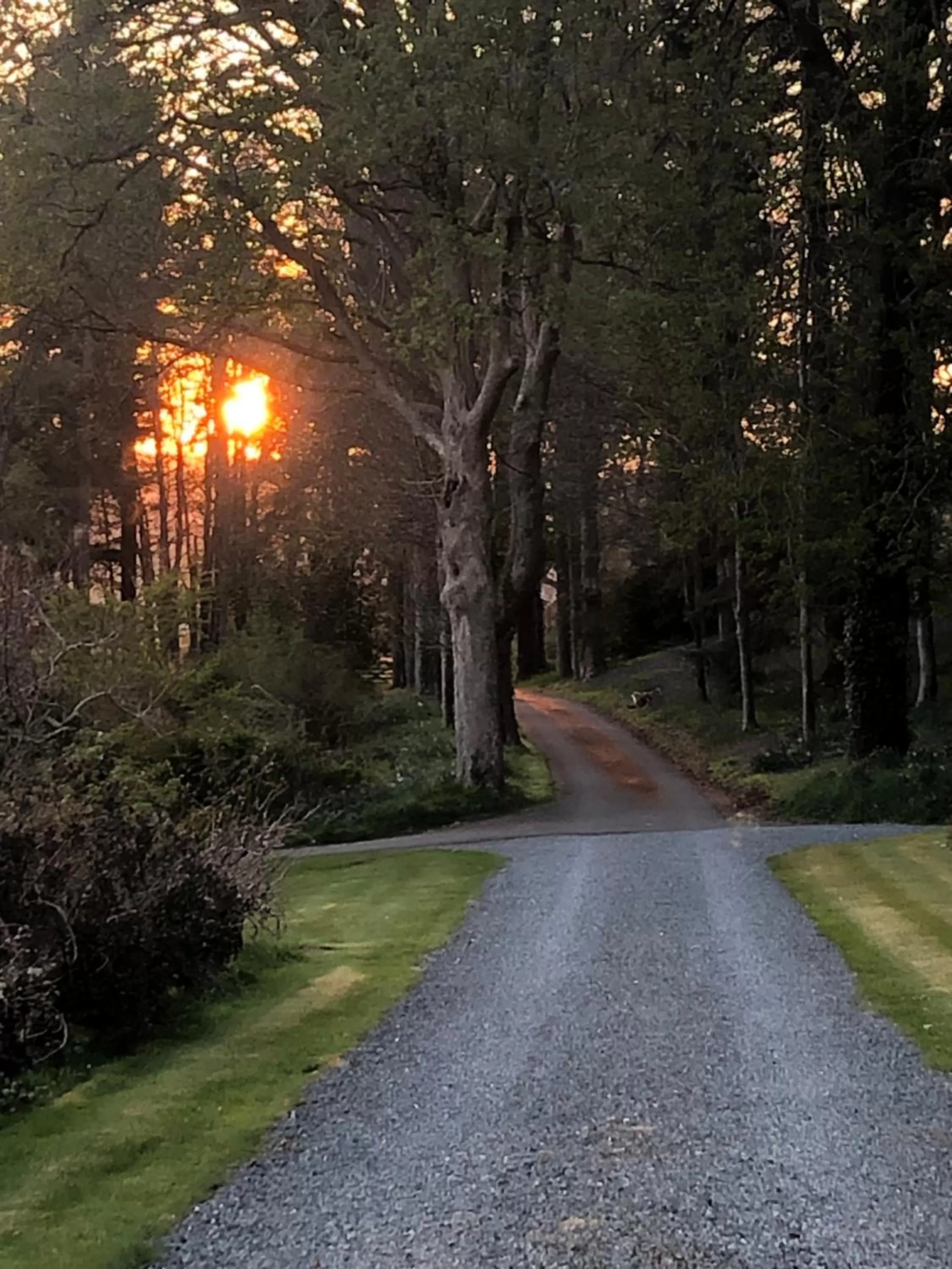 Natural landscape in The Skreen