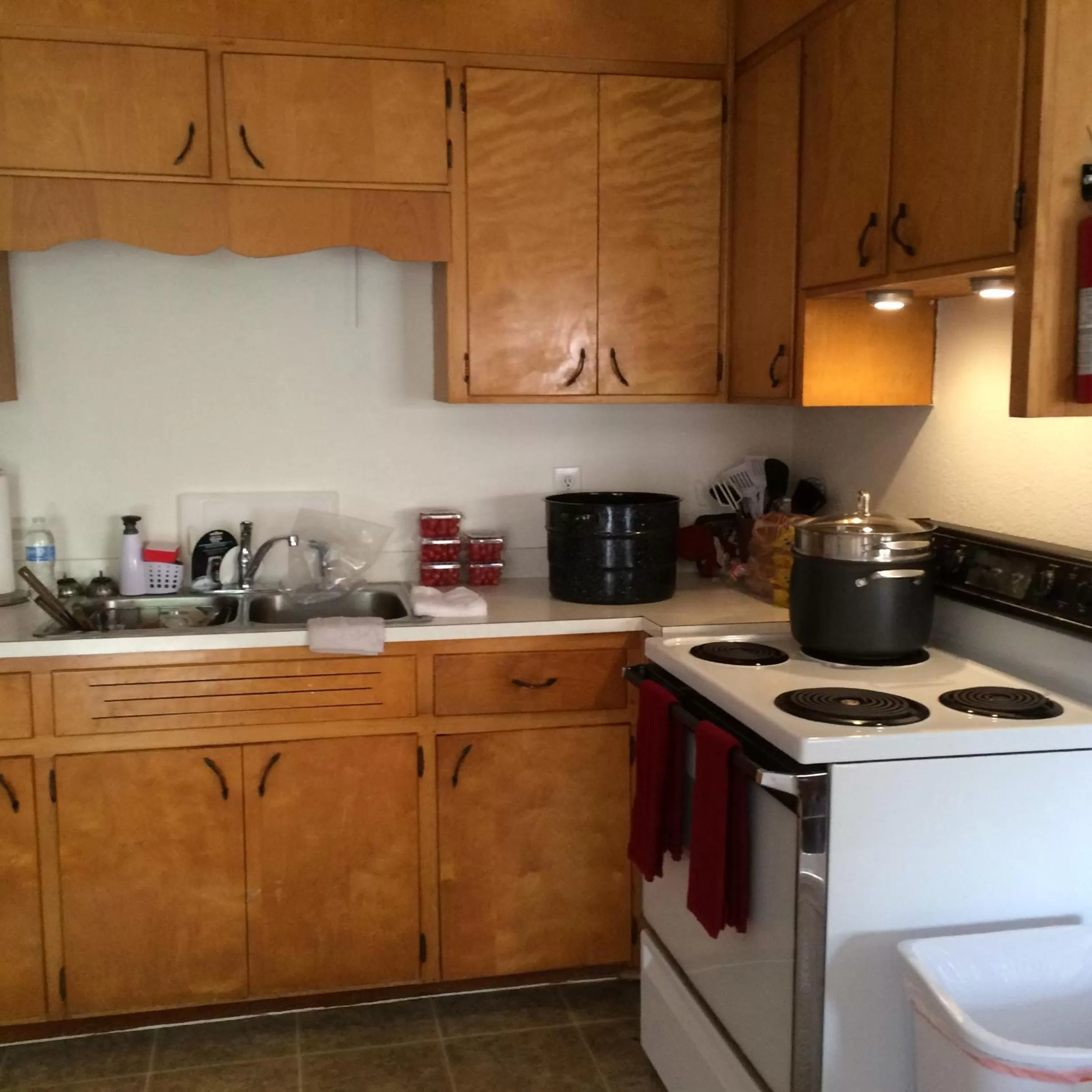 Kitchen or kitchenette in Cardinal Inn