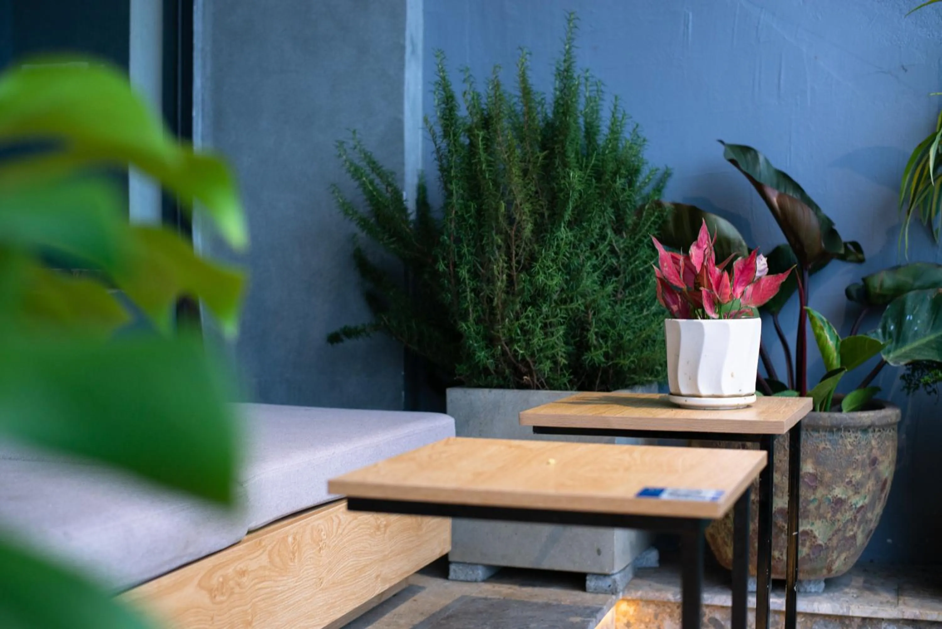 Restaurant/places to eat in Tasme Hotel