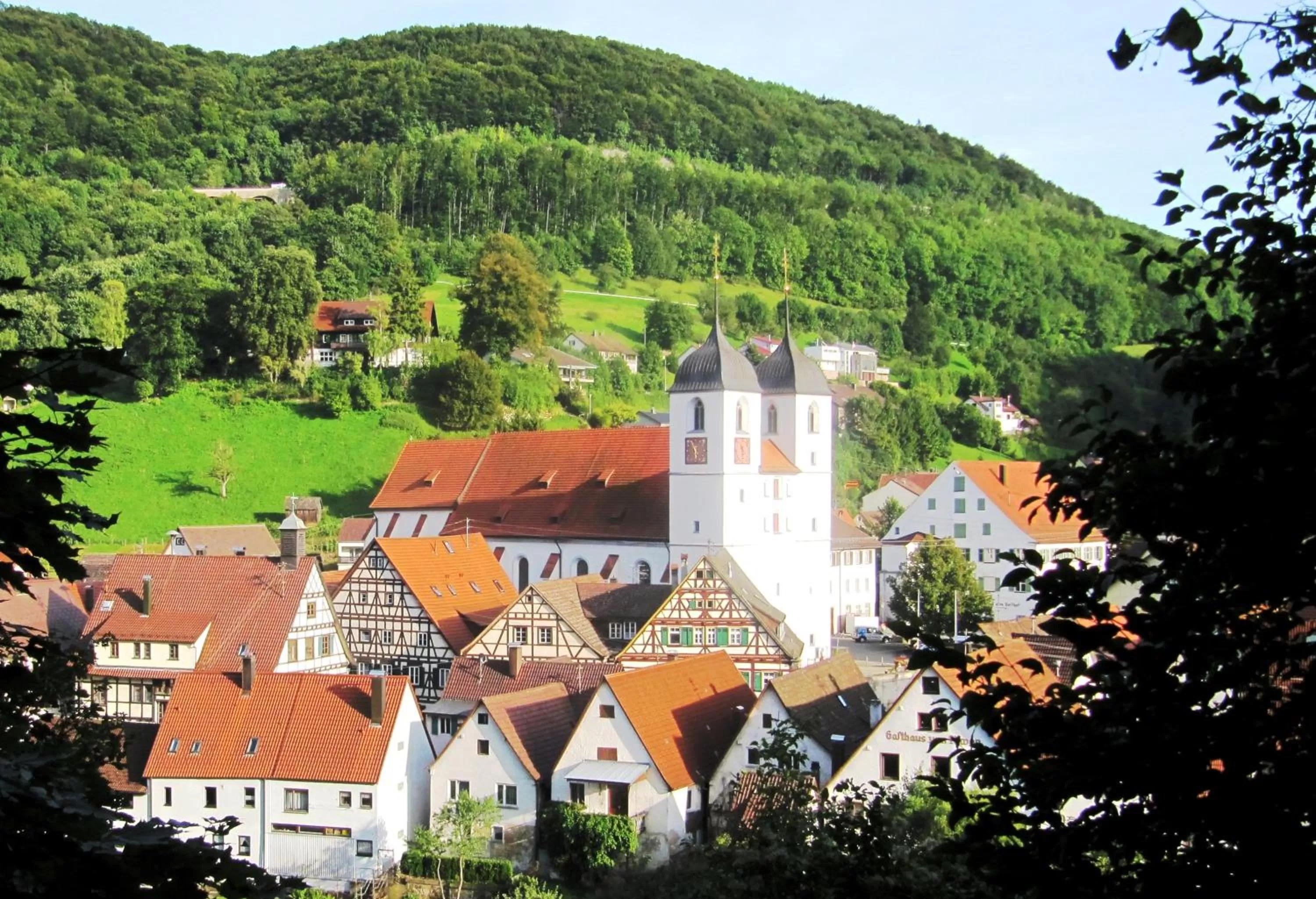 Natural landscape in Hotel Gasthof am Selteltor