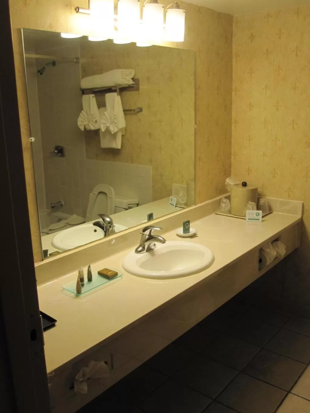 Bathroom in Chateau Hotel and Conference Center