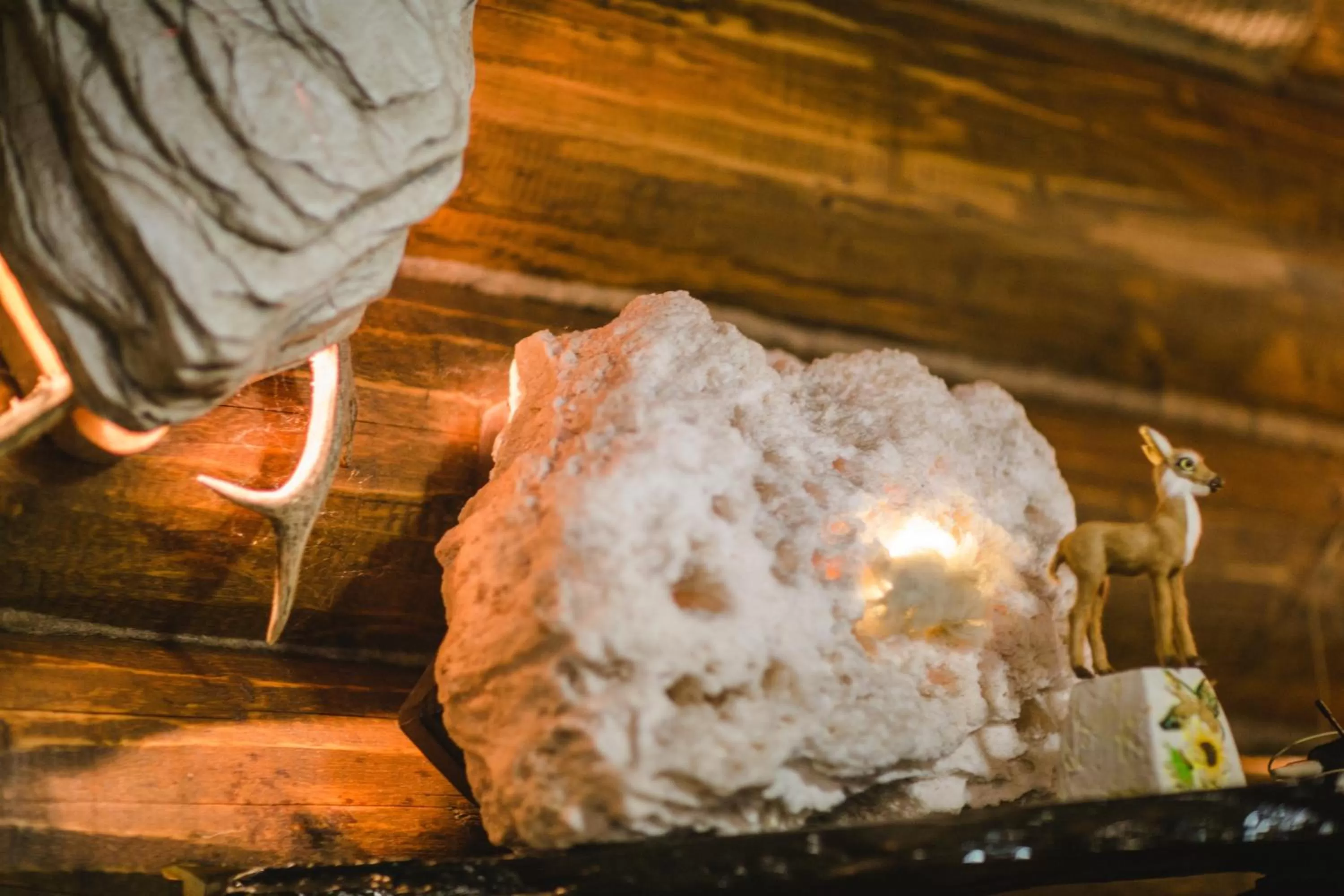 Food in Kolyba Opryshkiv