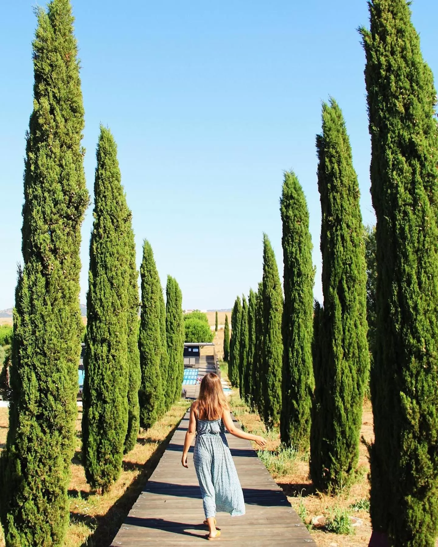 Garden in Torre de Palma Wine Hotel, Monforte, a Member of Design Hotels