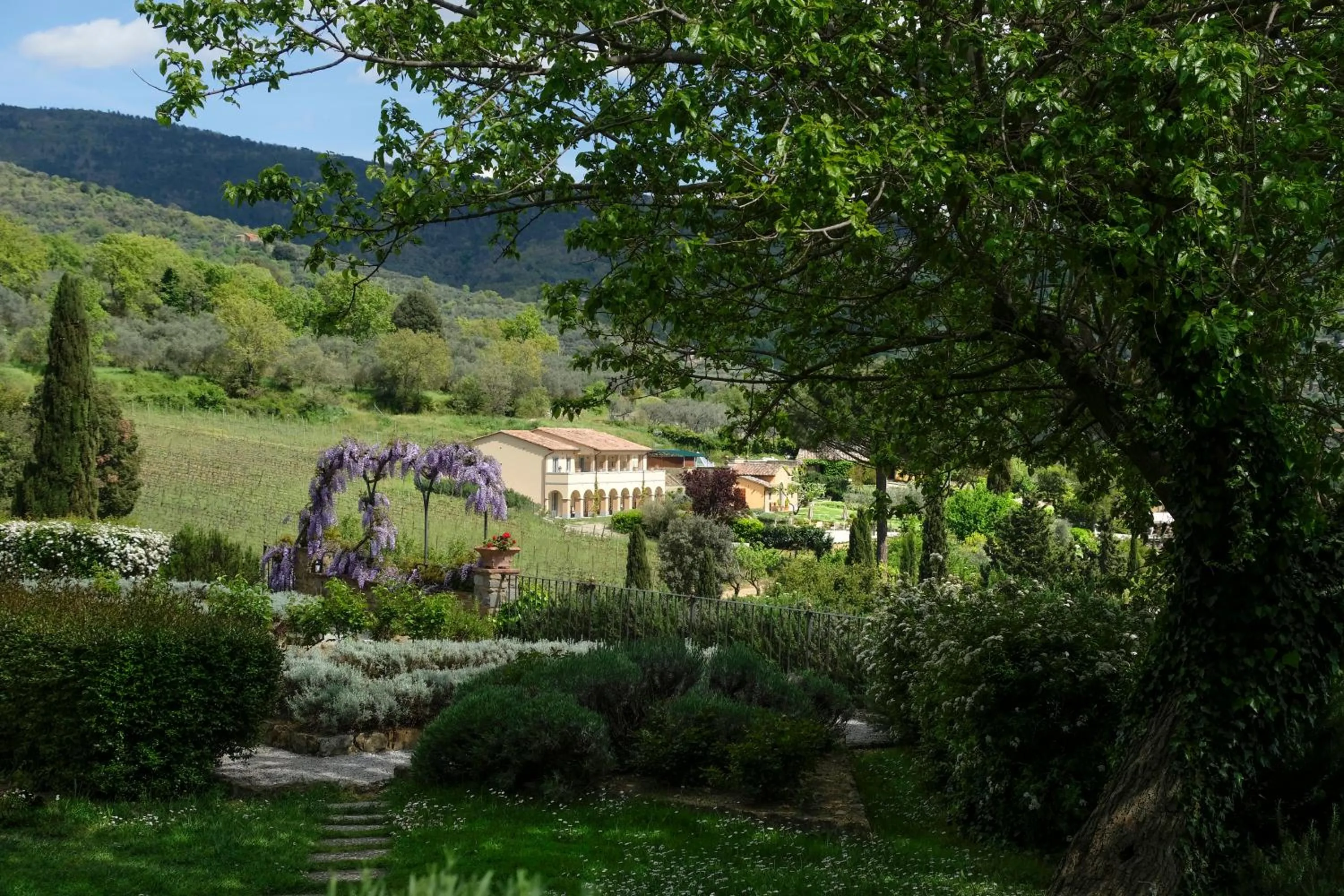 Natural landscape in Il Falconiere Relais & Spa