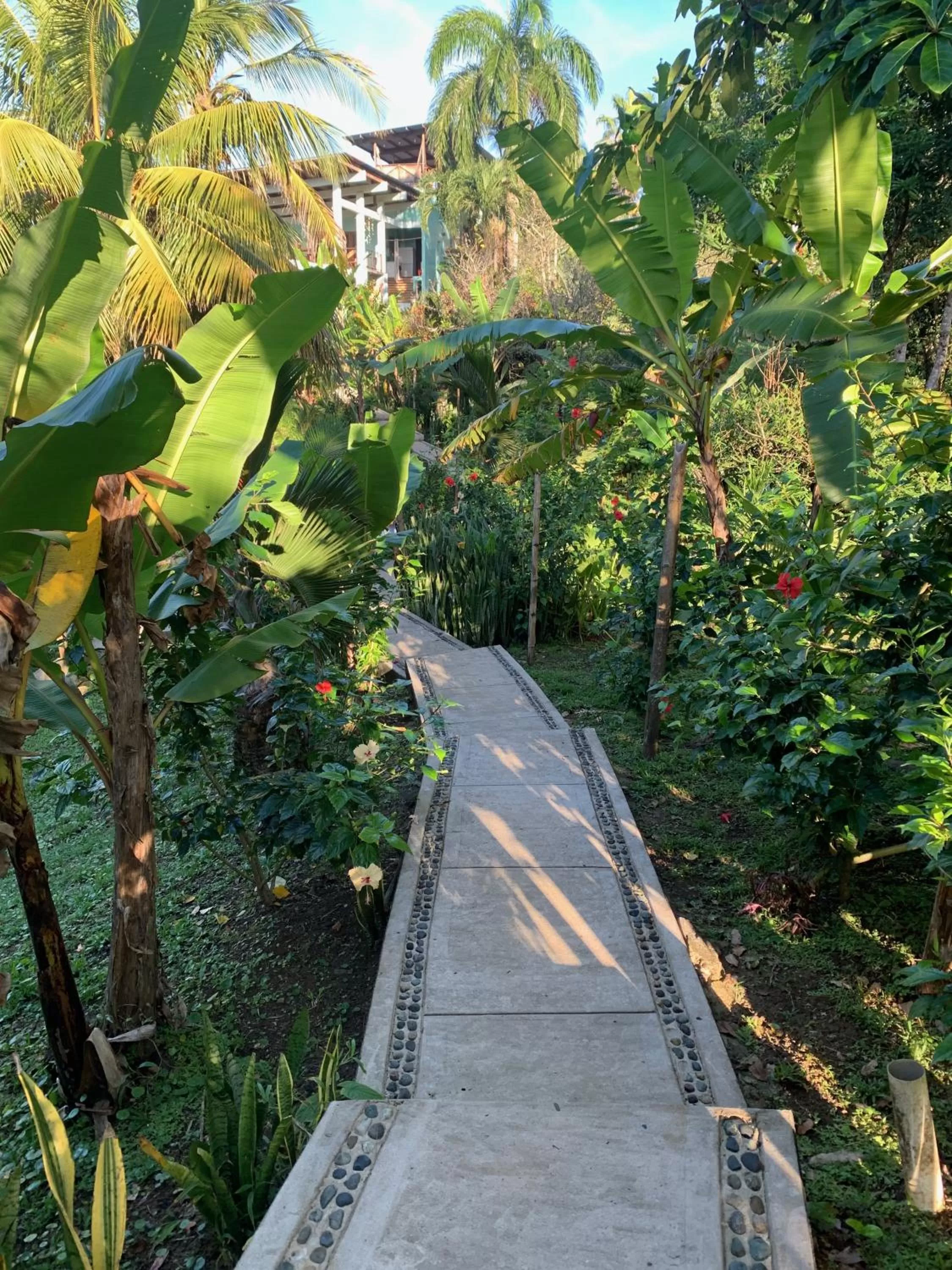 Garden in Bird Island Bungalows
