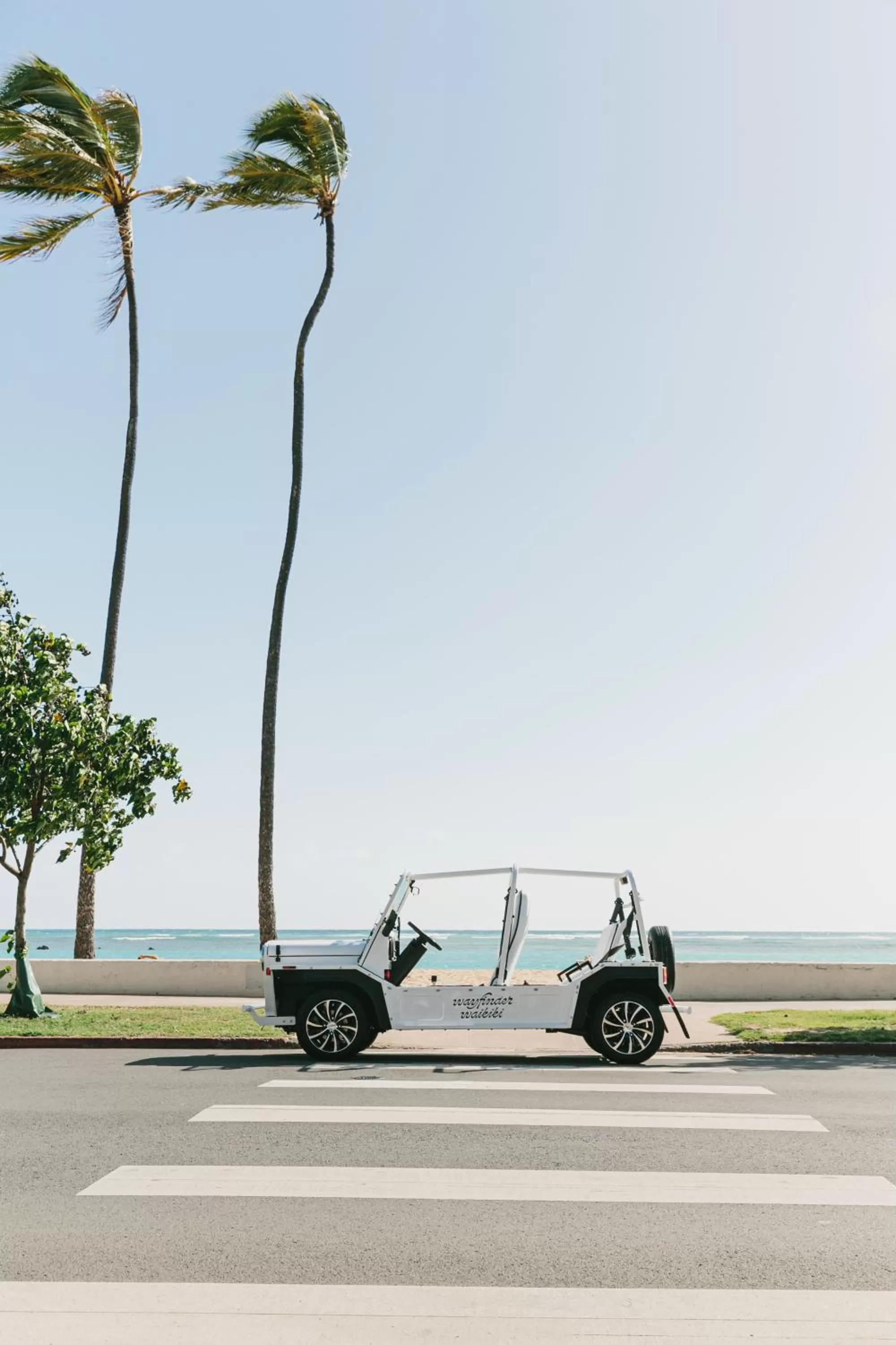 View (from property/room) in Wayfinder Waikiki - Voted Top 10 Best Hotels in Hawaii!