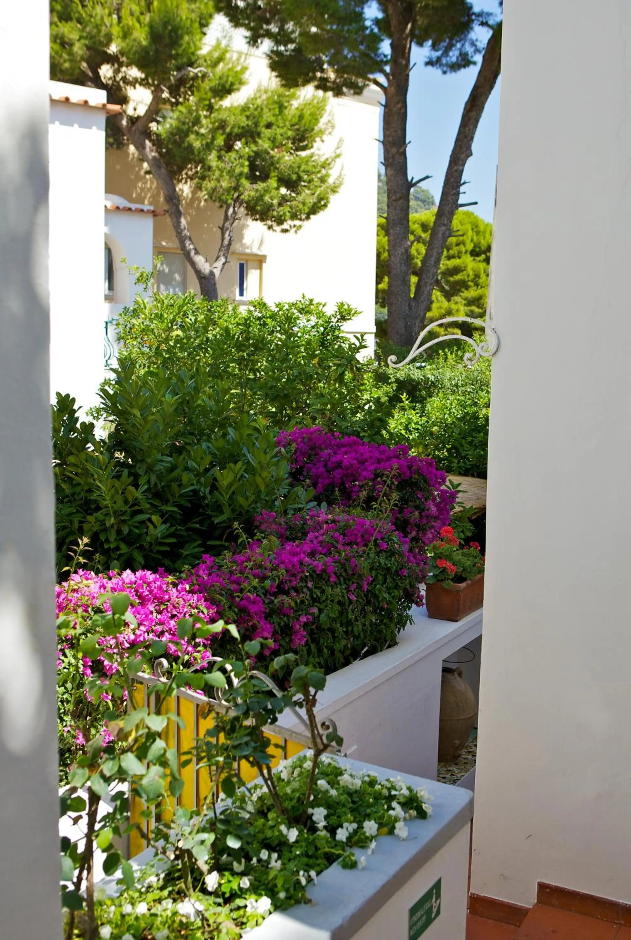 Garden in Hotel San Felice