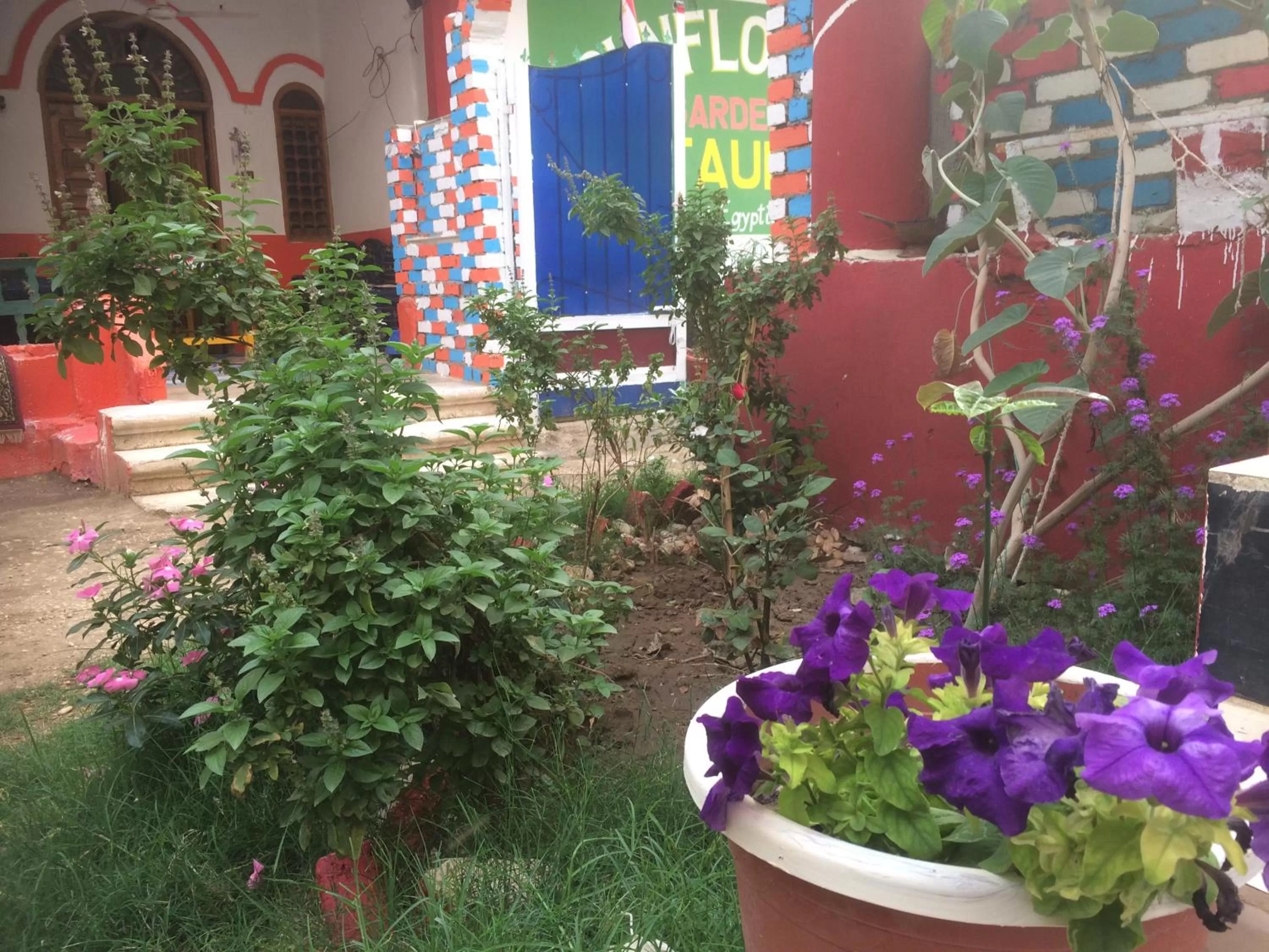 Sunflower Guest House Luxor West Bank