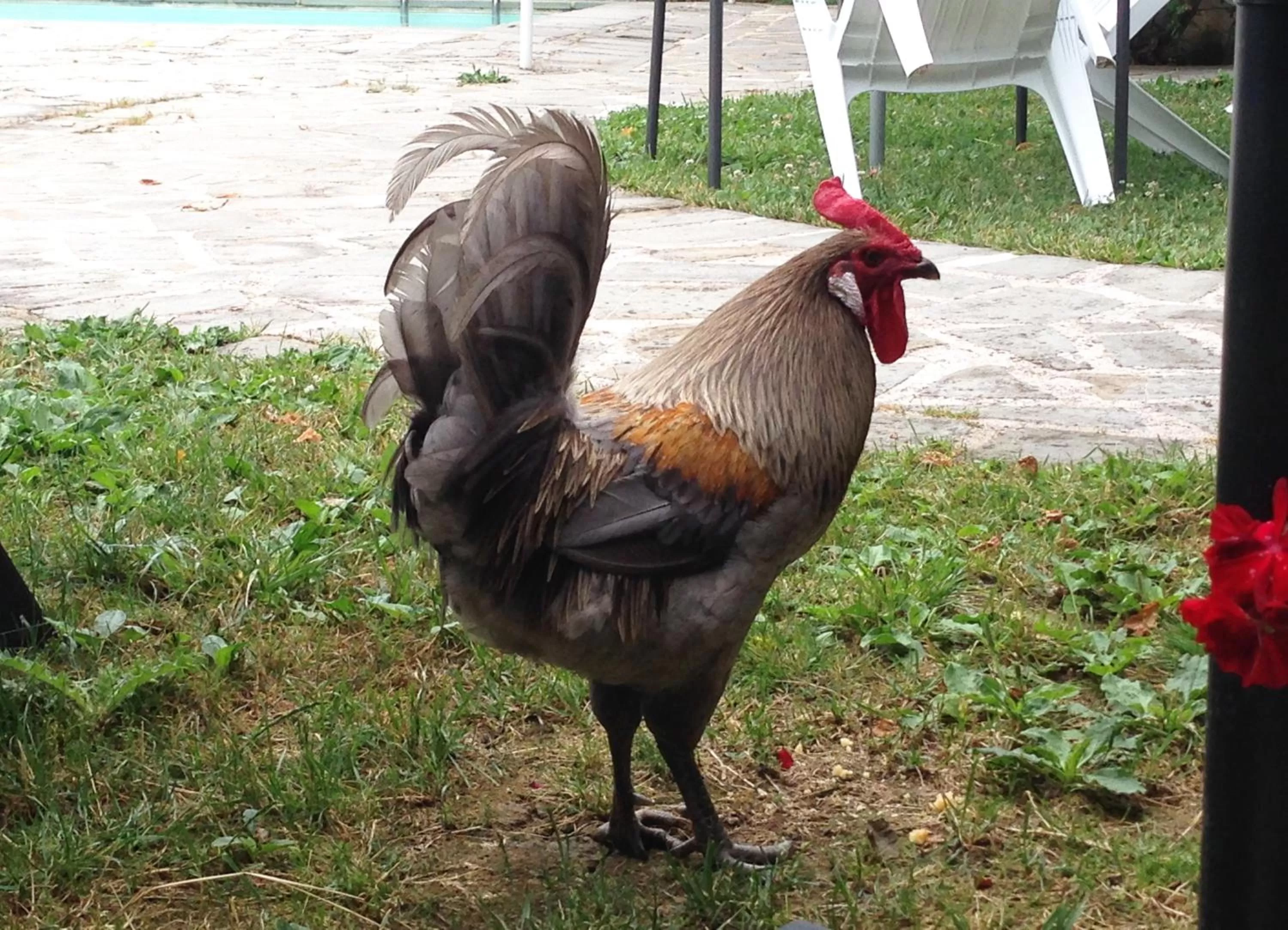 Facade/entrance in Residenza D'epoca Il Biribino