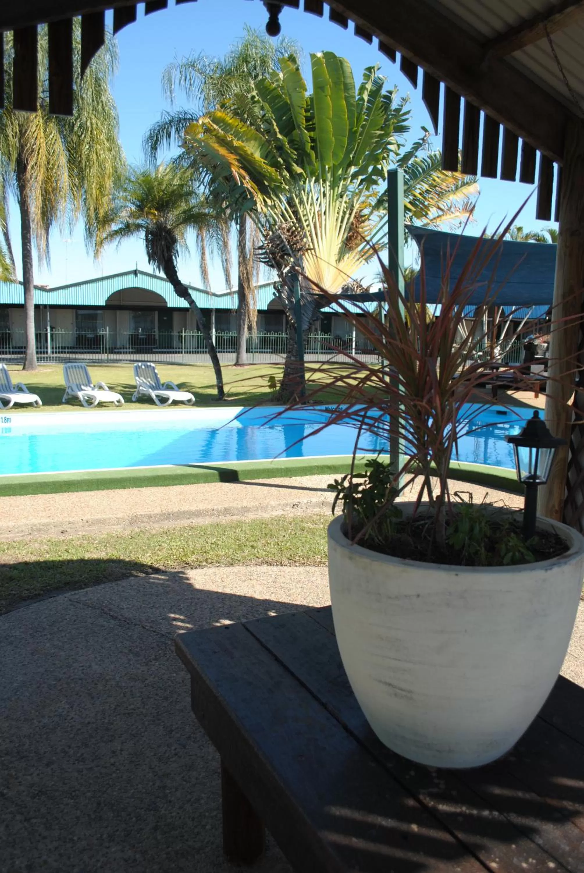 Swimming pool in David Motor Inn
