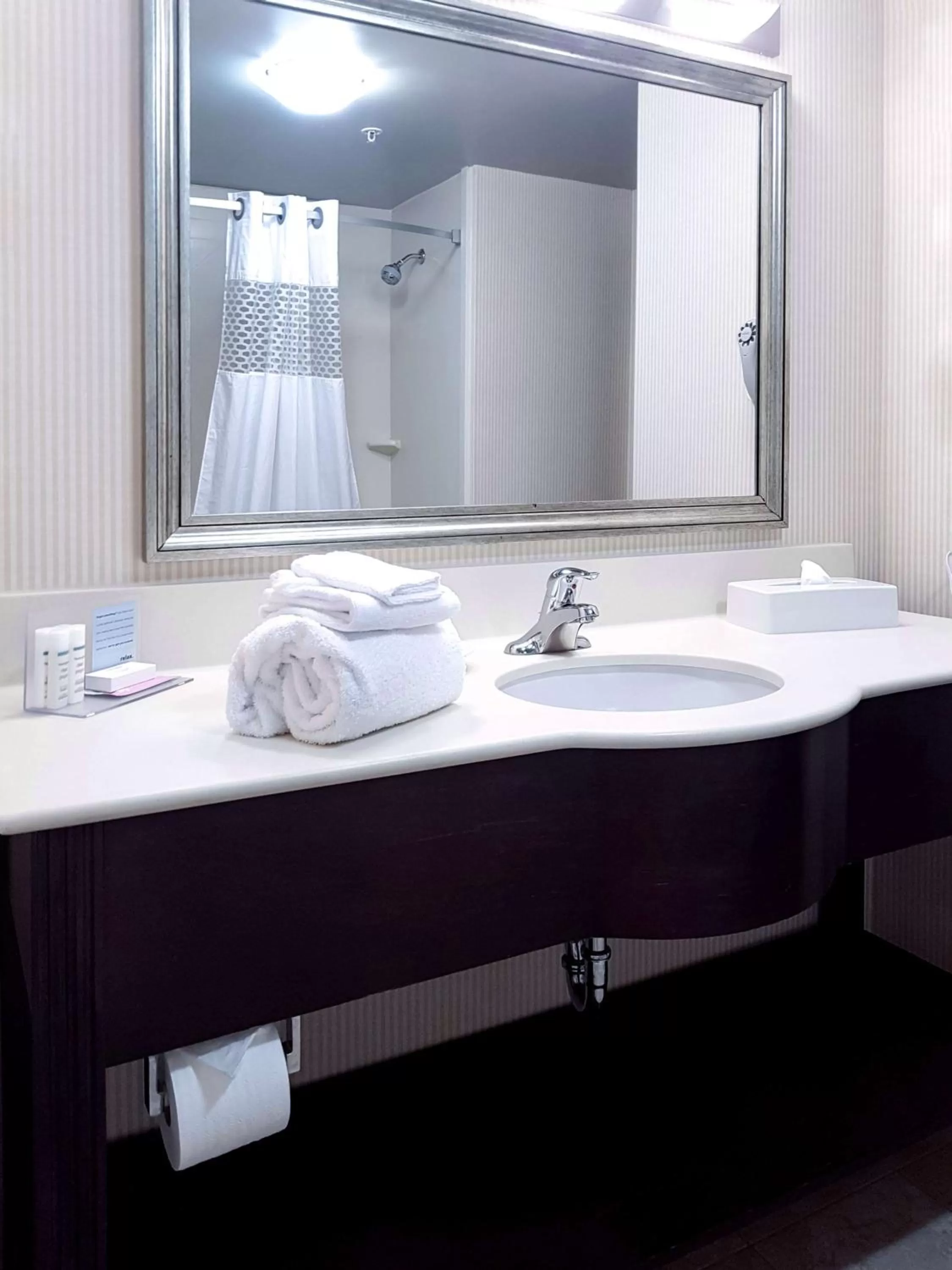Bathroom in Hampton Inn & Suites by Hilton Edmonton International Airport