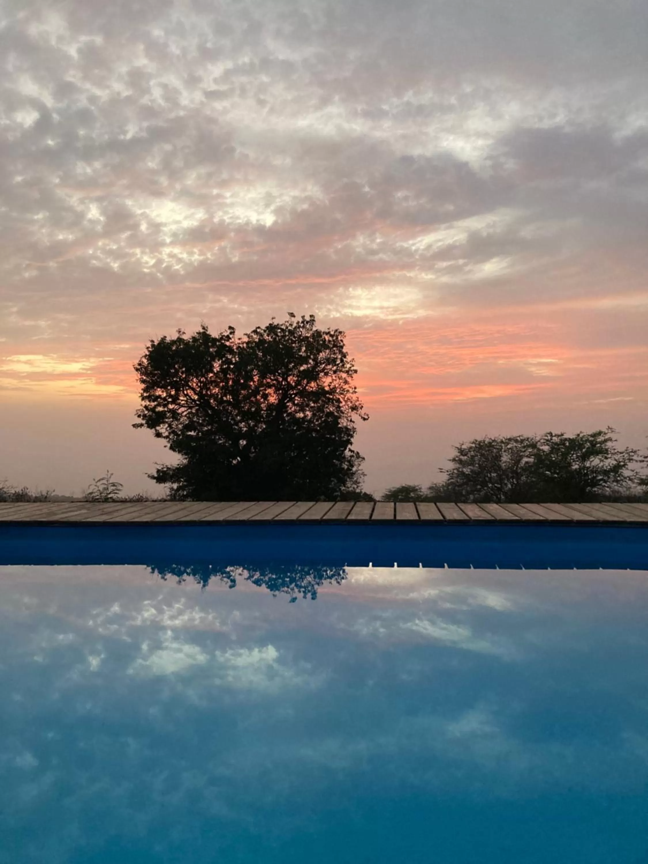 Pool view in La Fora Ecolodge