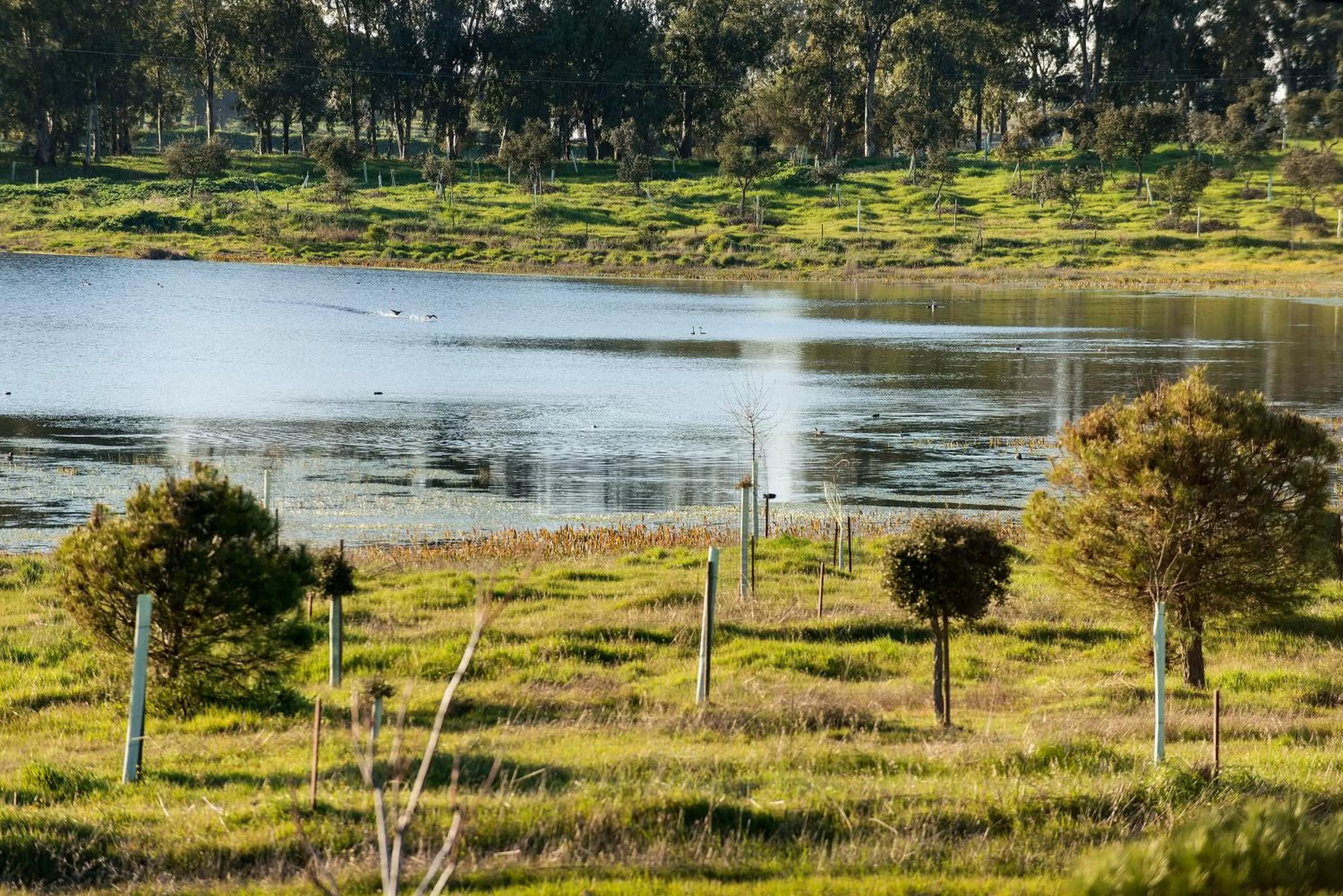 Area and facilities in Hotel Restaurante Sostenible La Laguna
