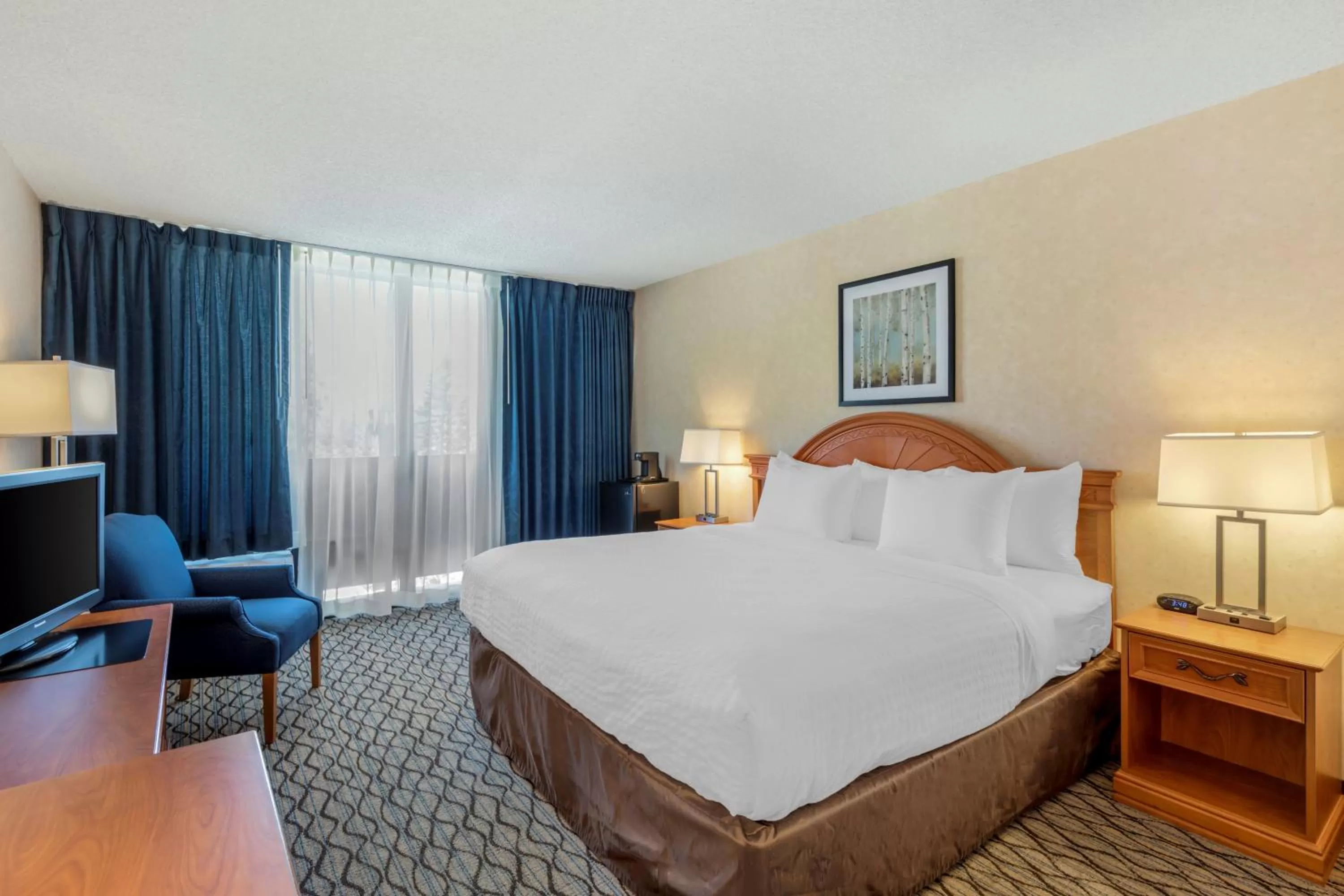 Photo of the whole room, Bed in Clarion Hotel Anaheim Resort