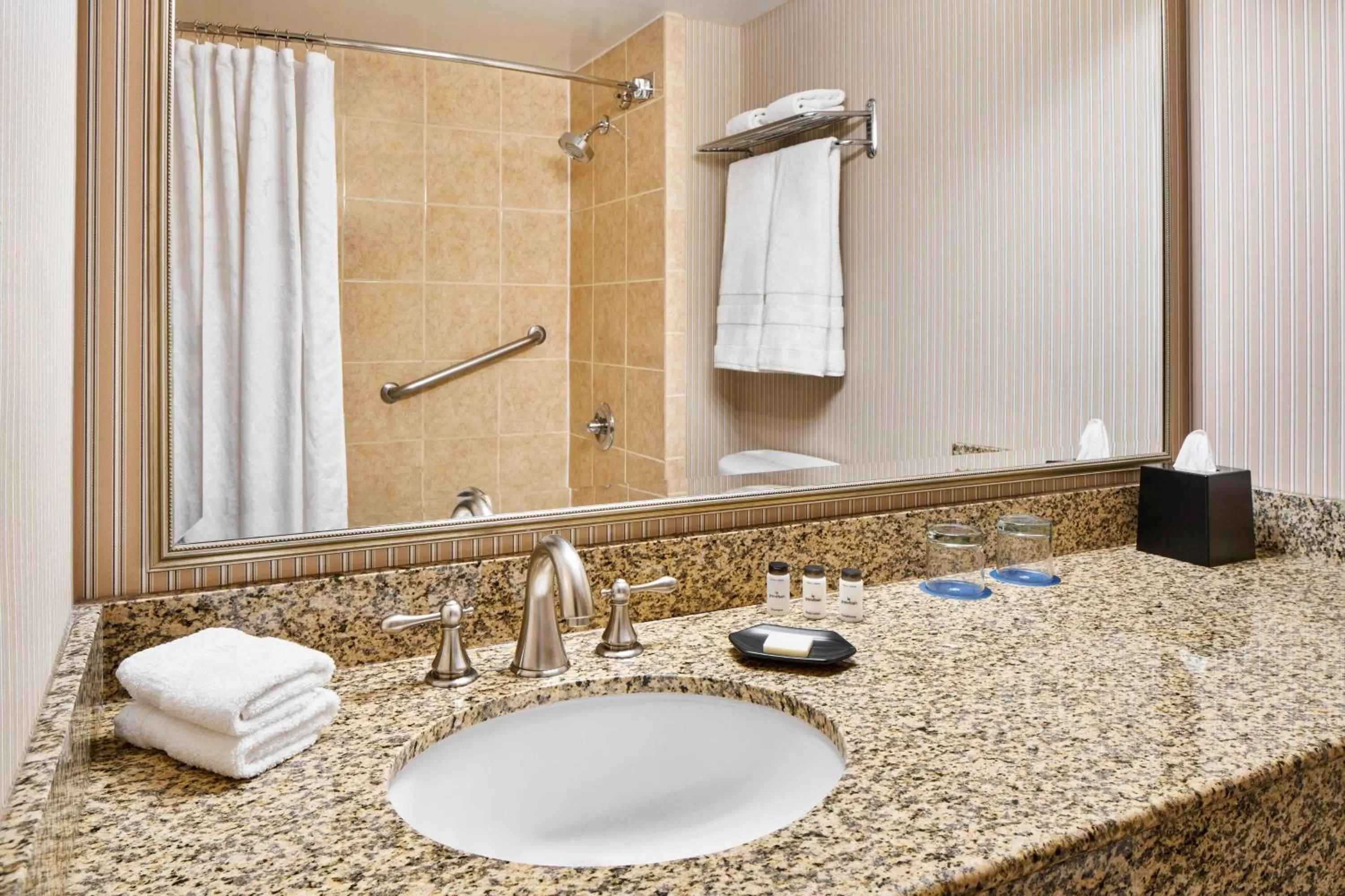 Bathroom in Sheraton Inner Harbor Hotel