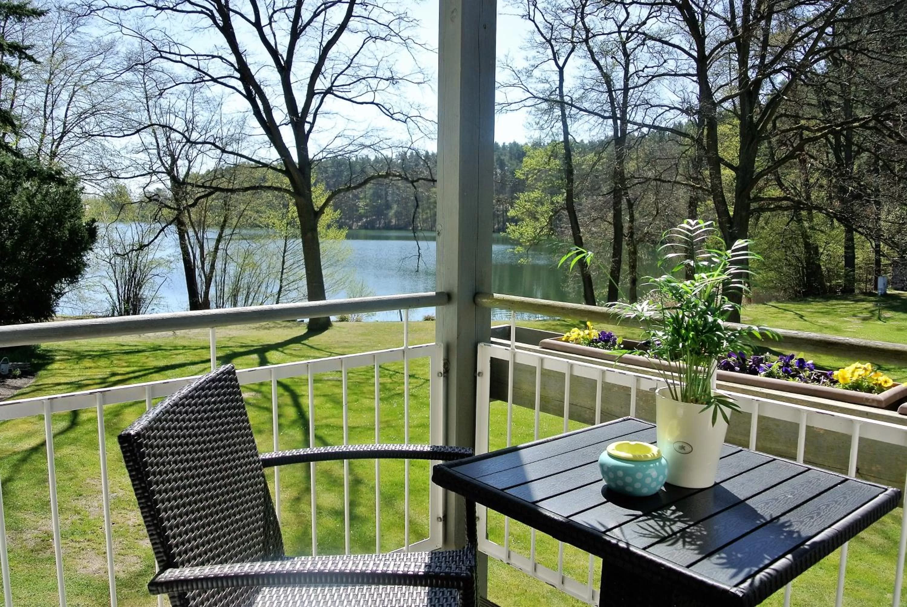 Balcony/Terrace in Seehotel Lindenhof