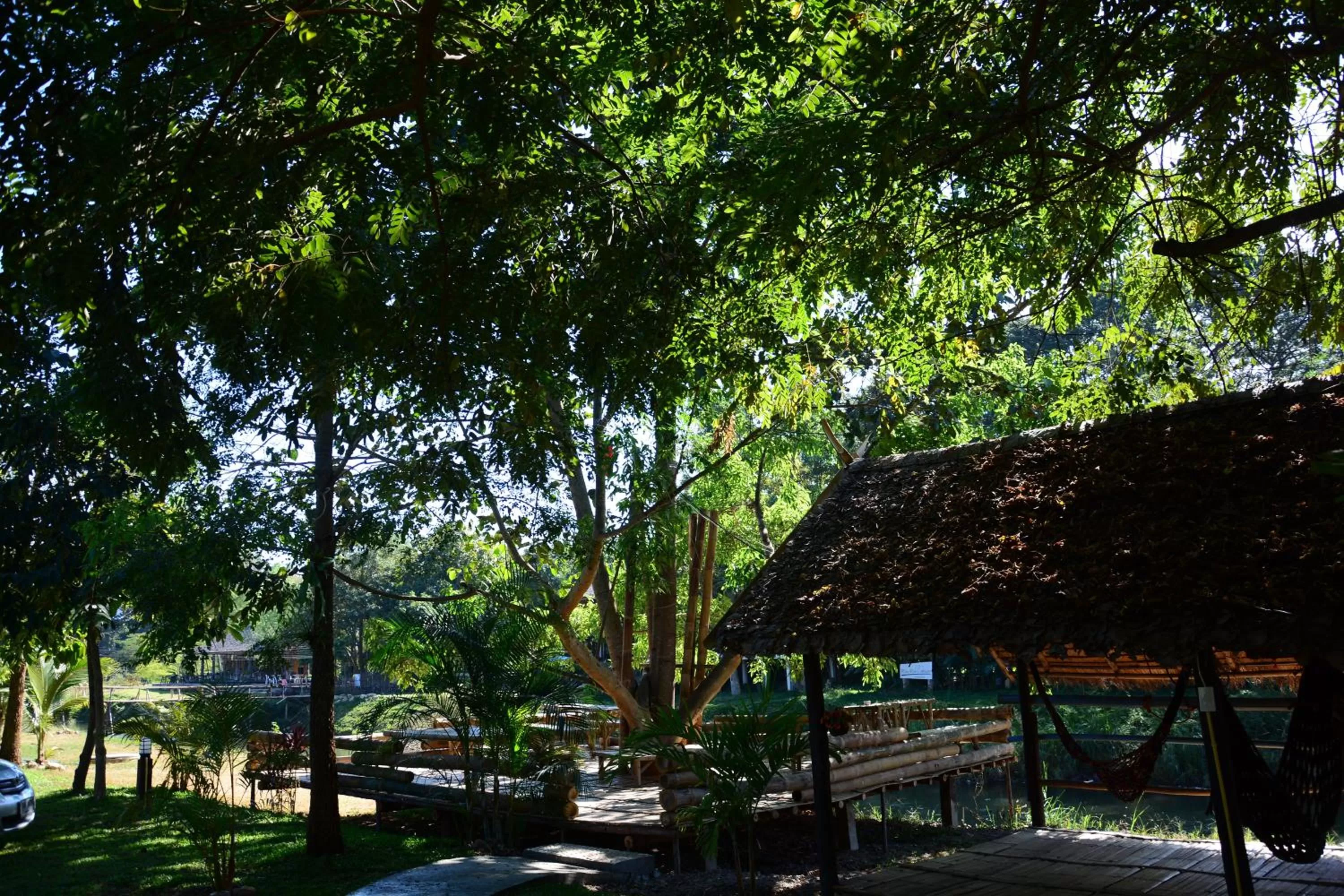 View (from property/room) in Pai Loess Resort