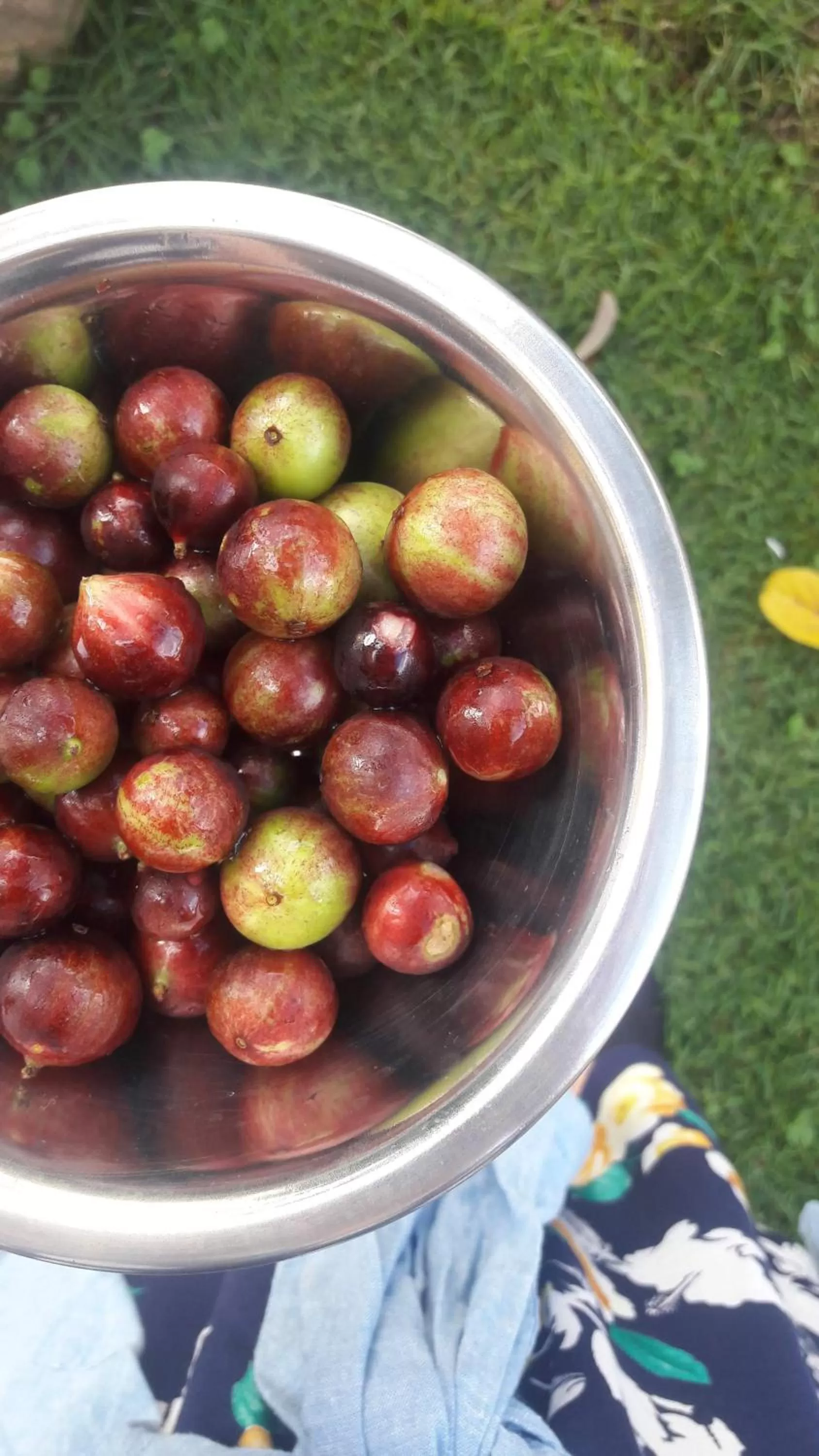 Food close-up, Food in A Casa Morro do Moreno