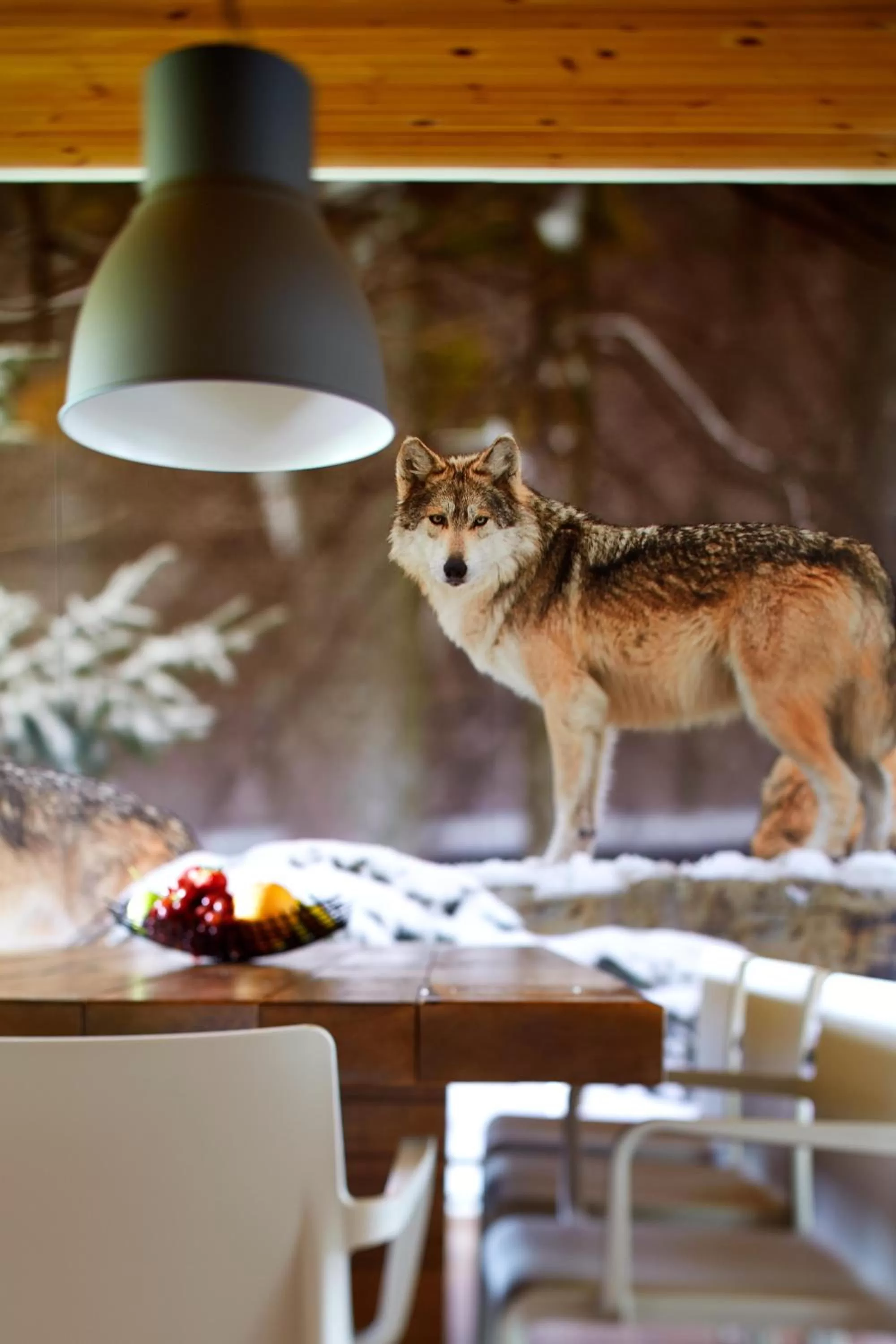 Kitchen or kitchenette in Auberge du Lac-à-l'Eau-Claire