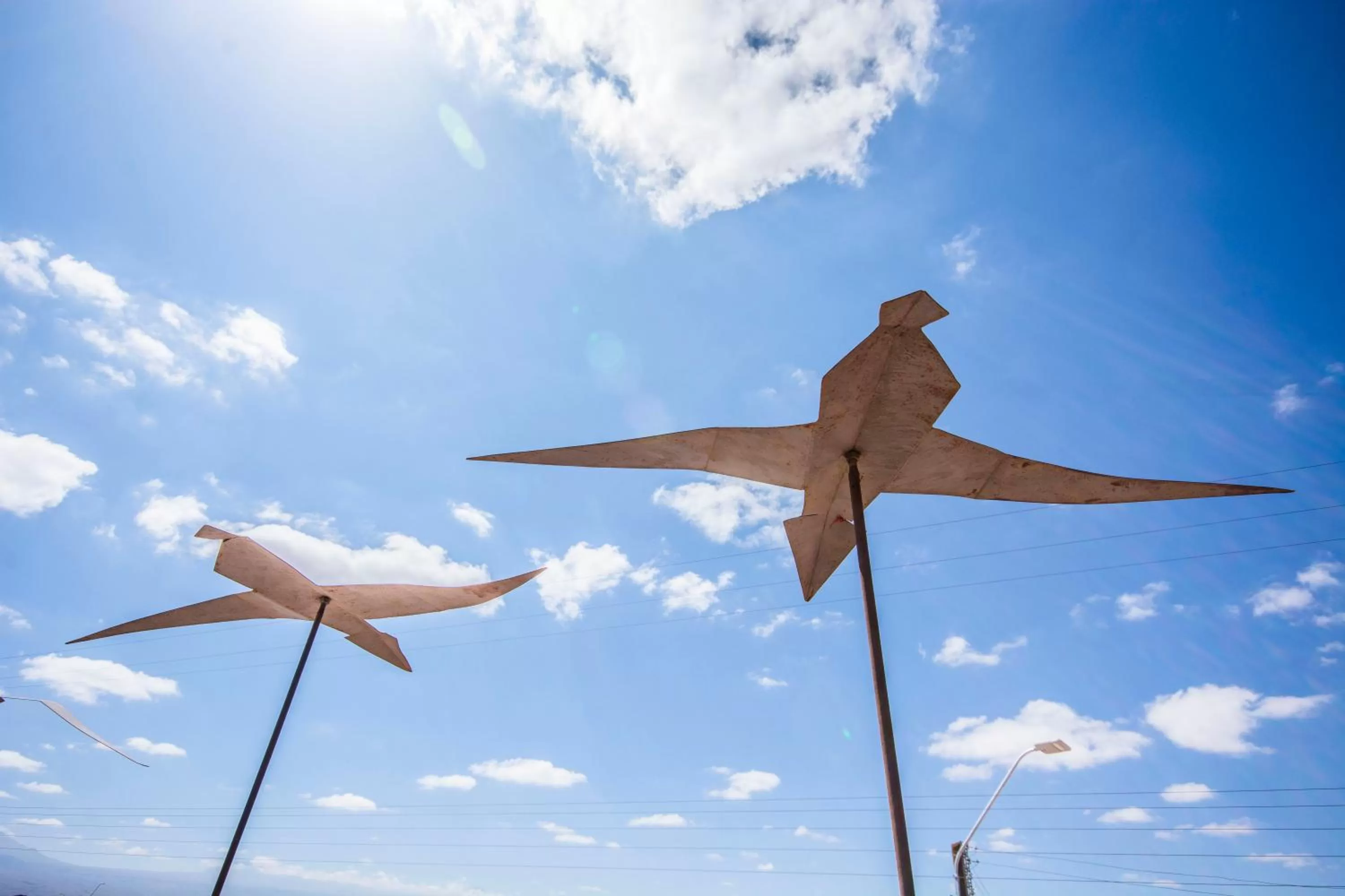 Property building, Other Animals in Hotel Casa Algarrobo