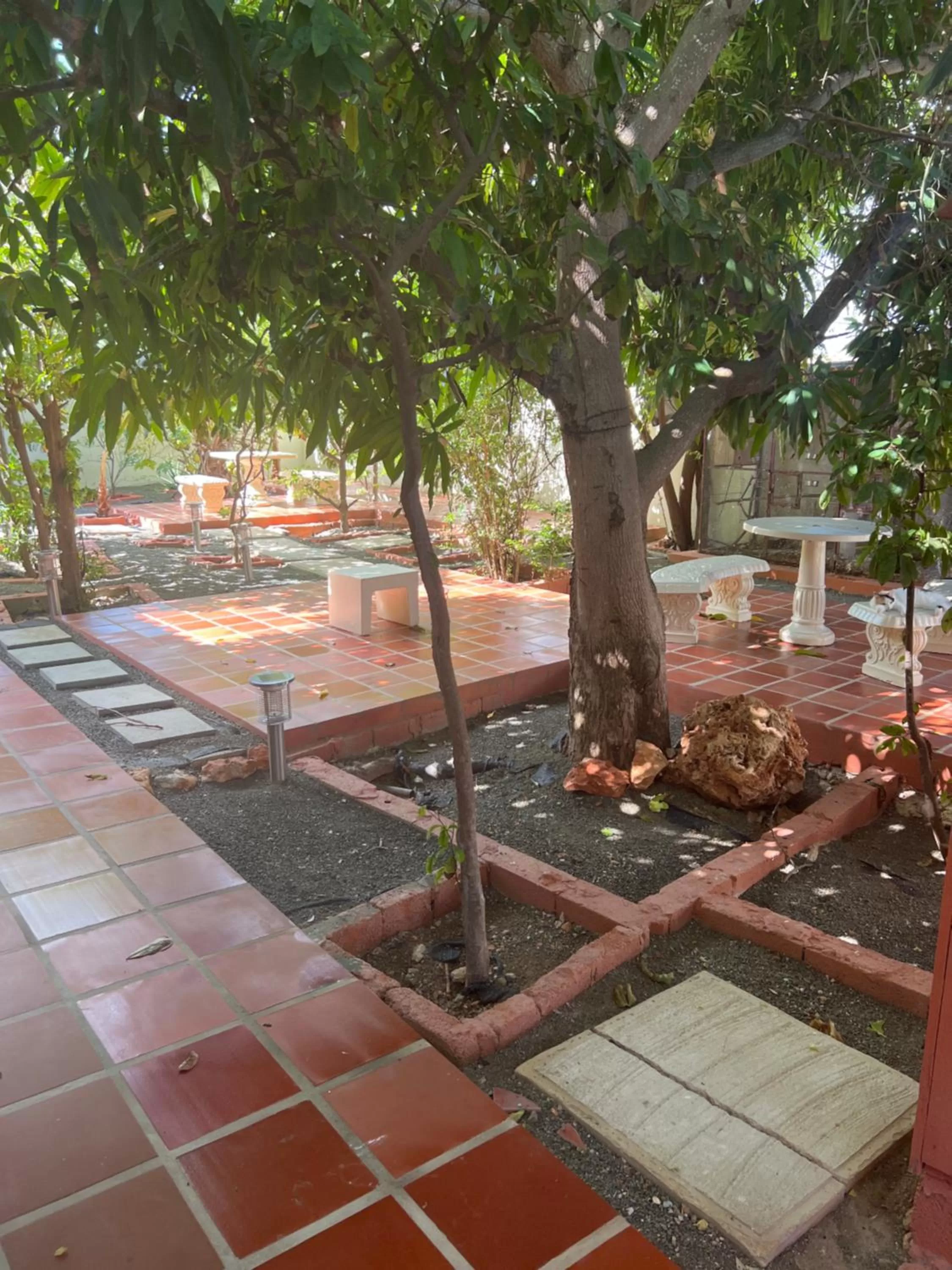 Curasita colour Appartments