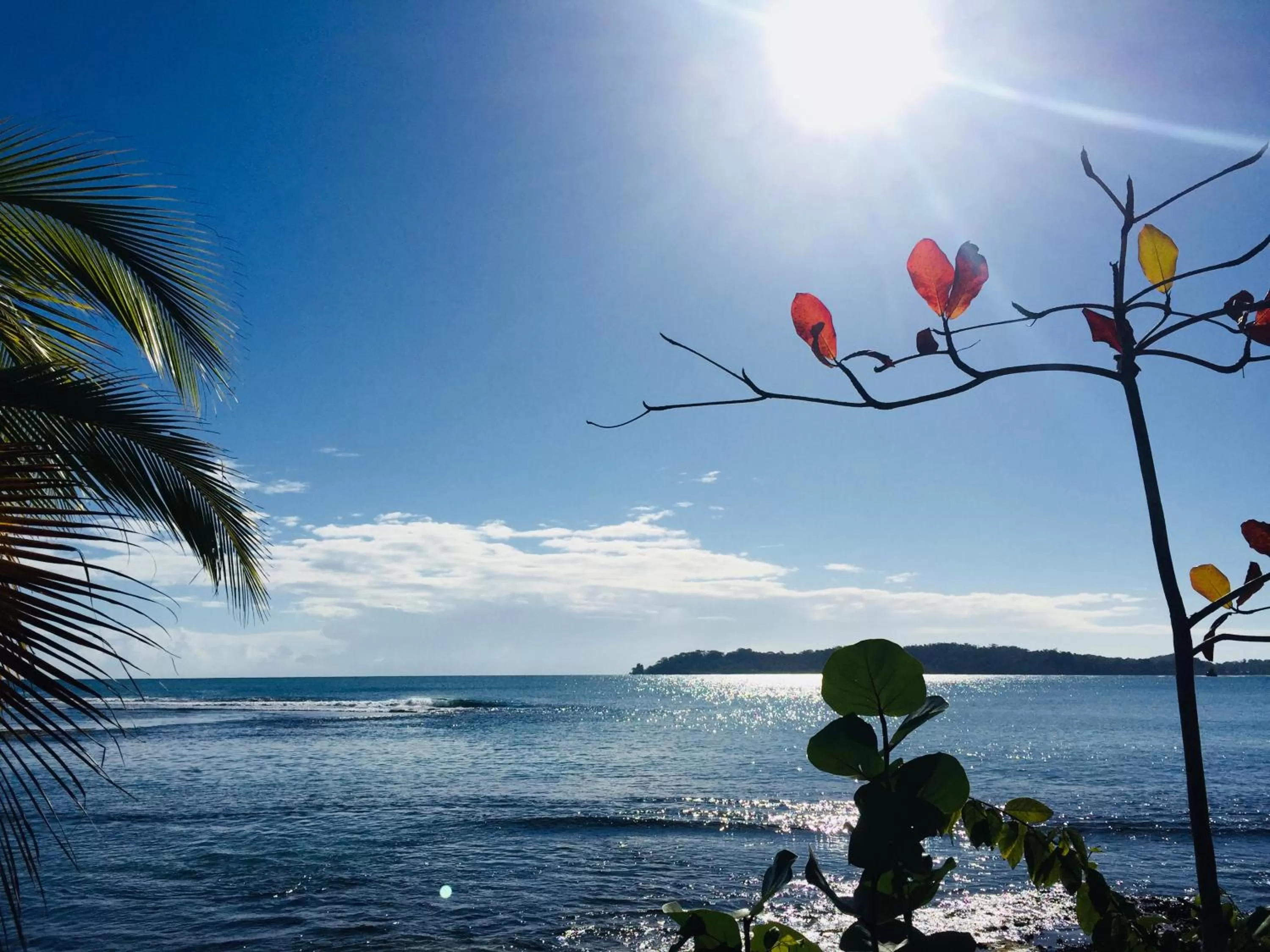 Beach in Casa Oceana Bed & Breakfast