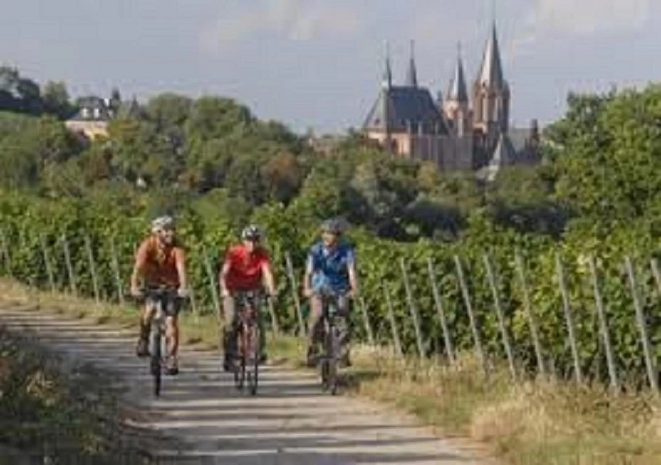 Hiking in Best Western Wein- und Parkhotel