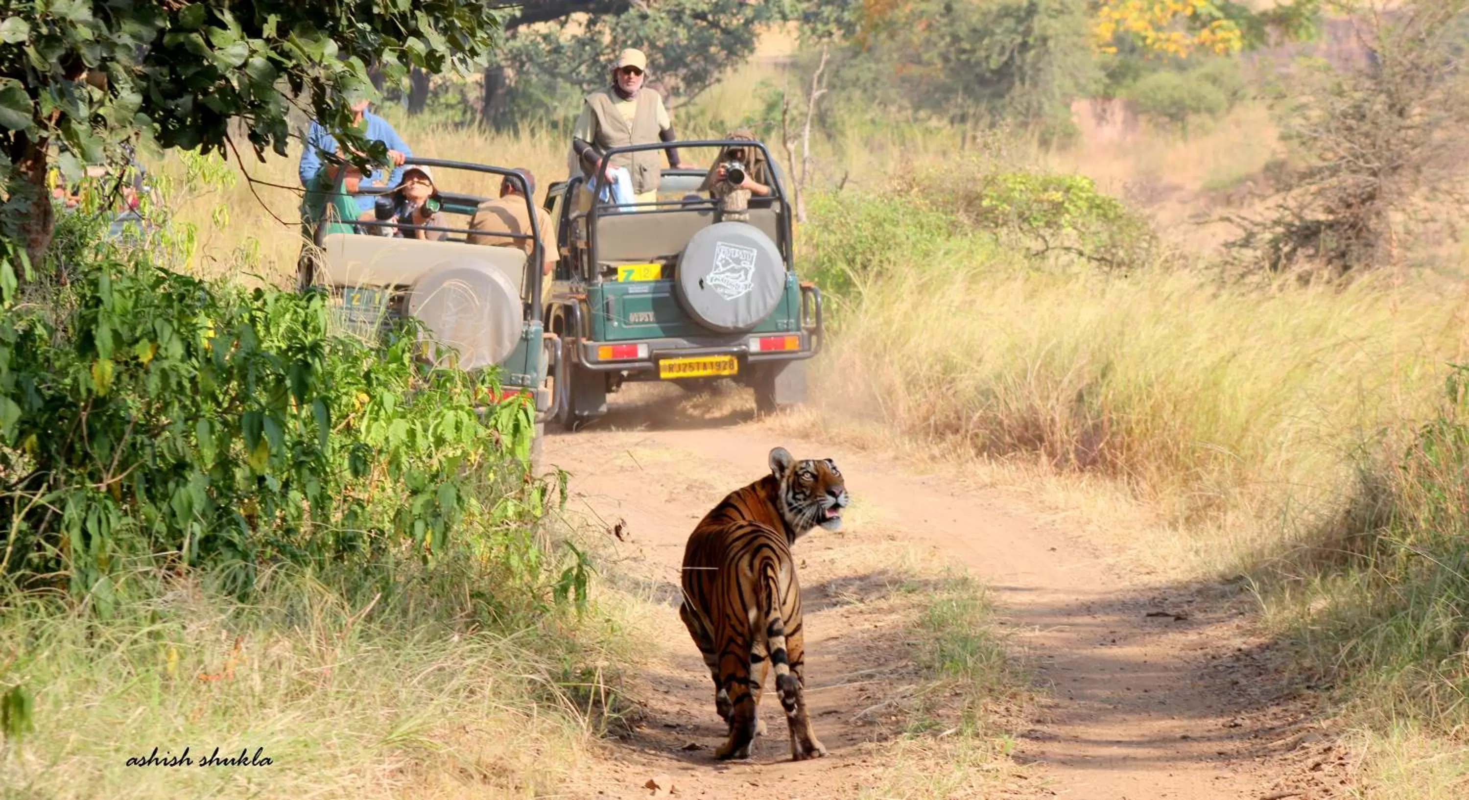 Off site in The Fern Ranthambore Forest Resort Rajasthan