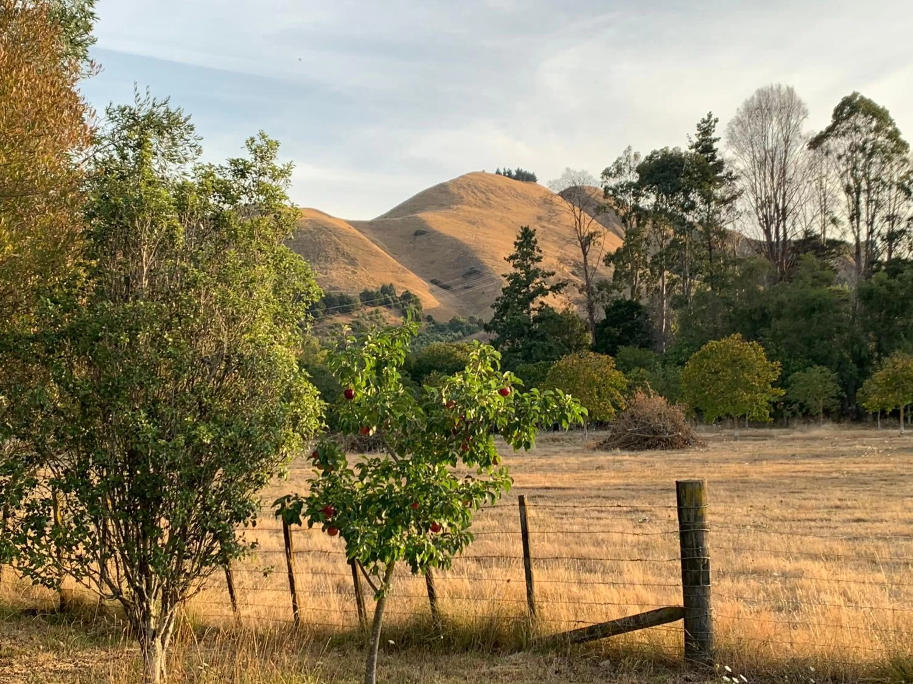 Mountain view in Quail Farm, Colonial charm