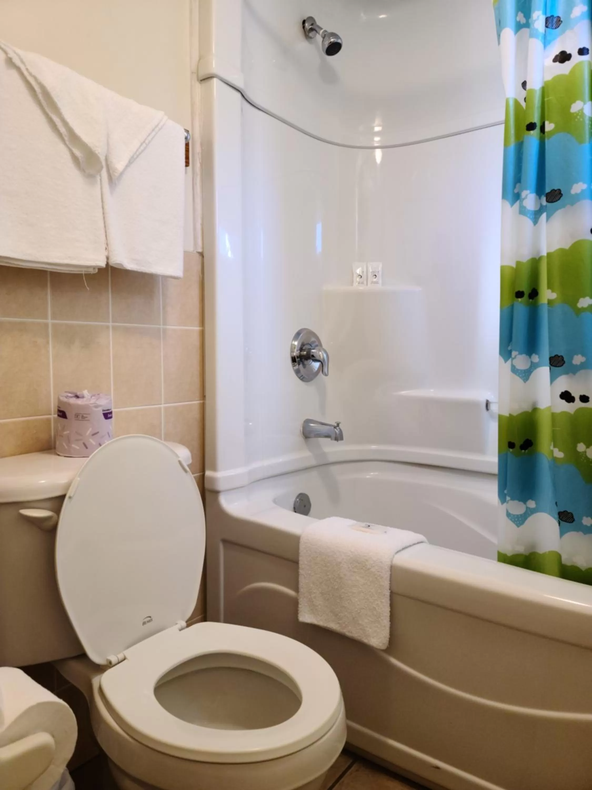 Bathroom in Choice Inn by the falls