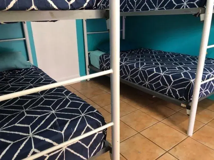 Bed in 4-Bed Female Dormitory Room in Darwin Hostel Bed in 4-Bed Female Dormitory Room in Darwin Hostel