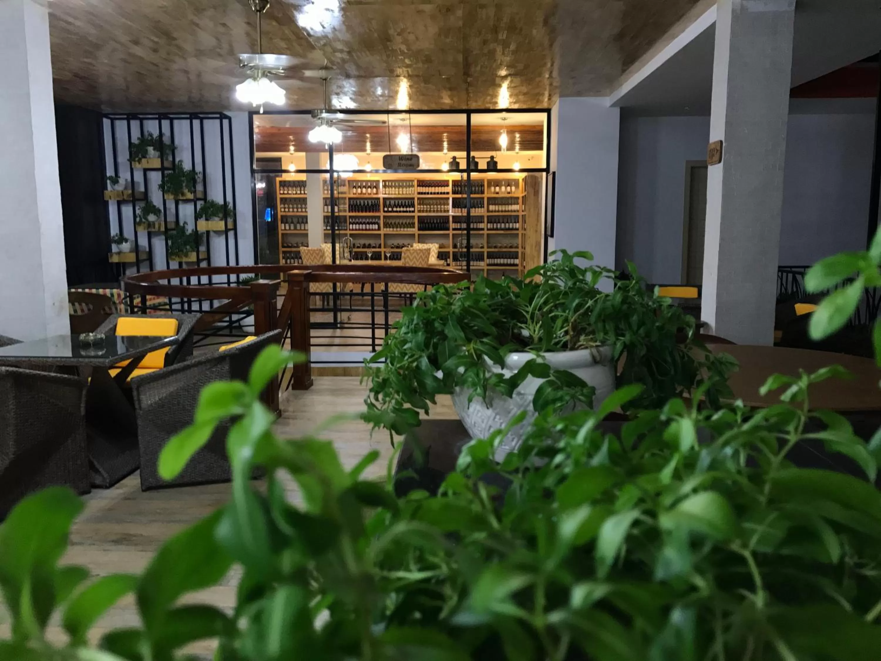 View (from property/room) in Benny's City Hotel