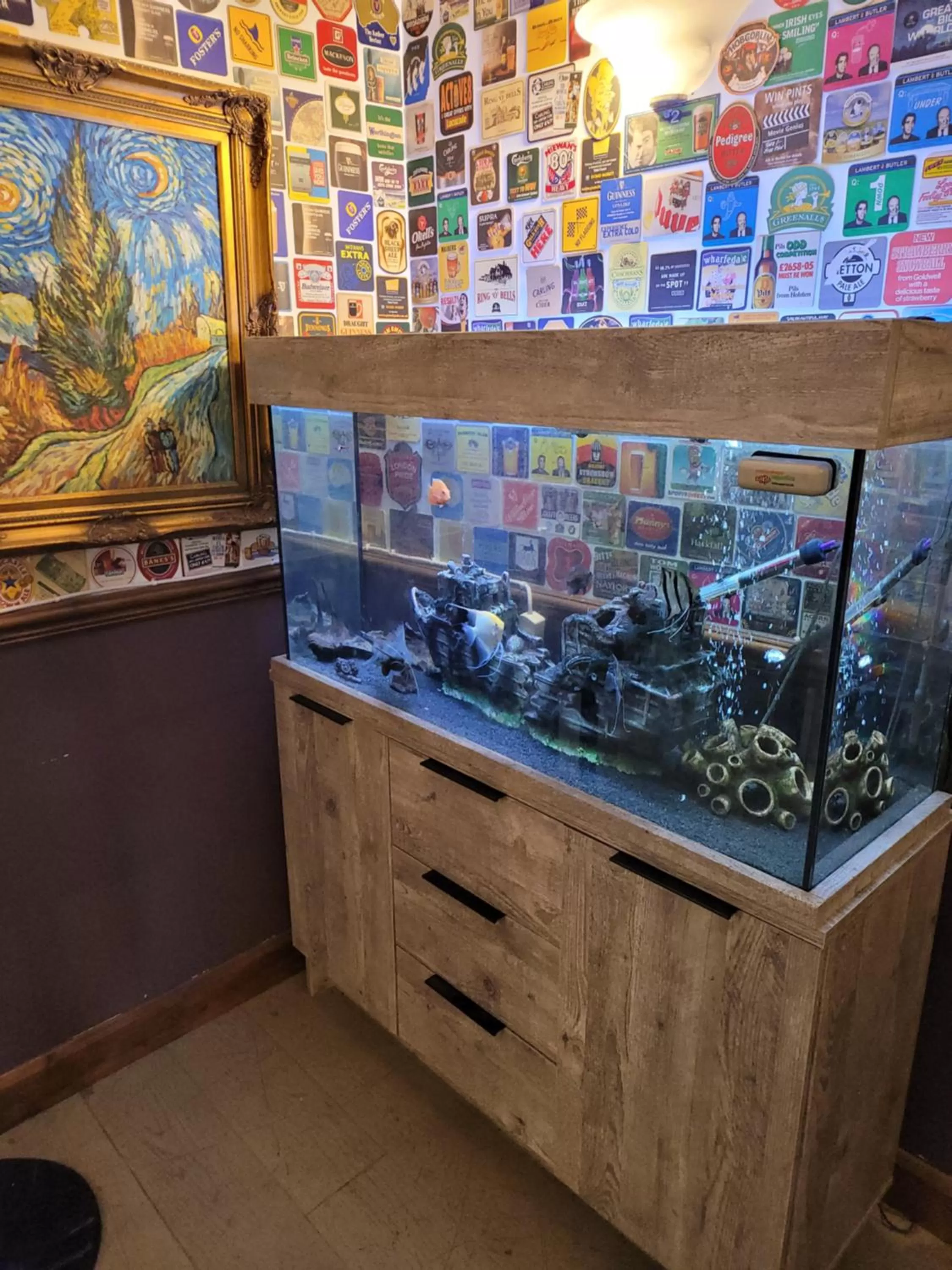 the jackdaw pub SELF CATERING STATIC CARAVAN free breakfast supplied