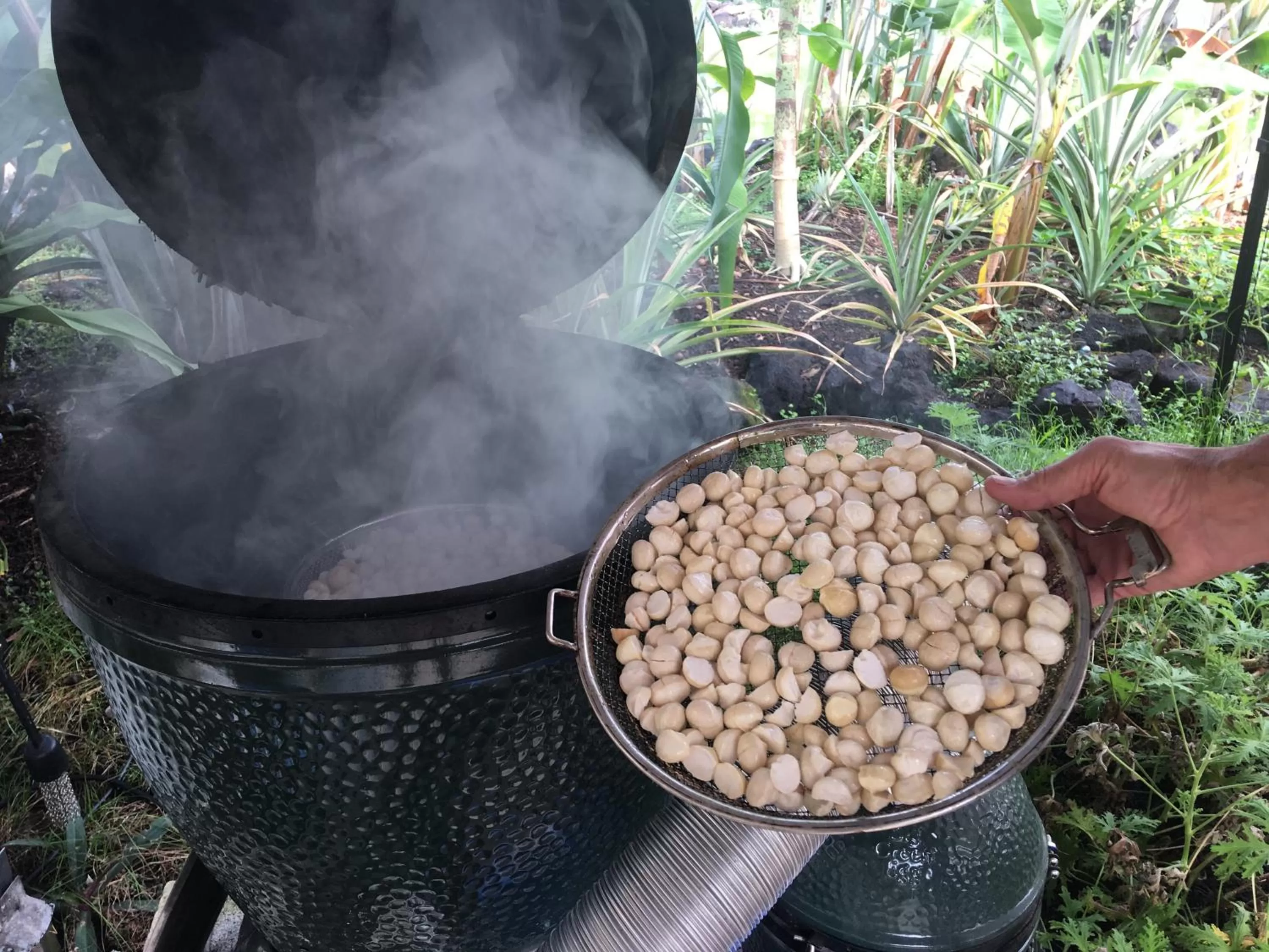 Food close-up in Kona Bayview Inn