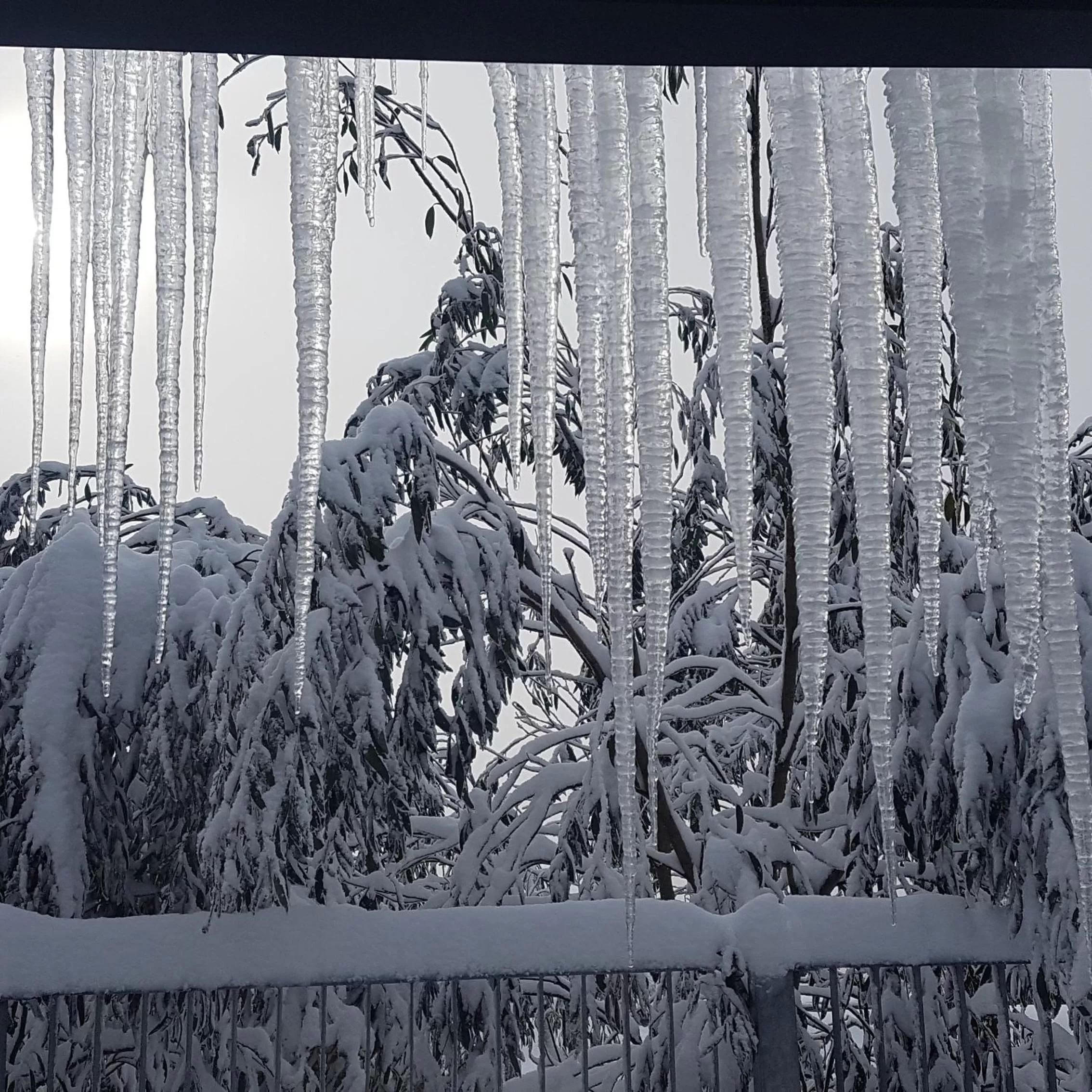 Skiing in Cedarwood Apartments