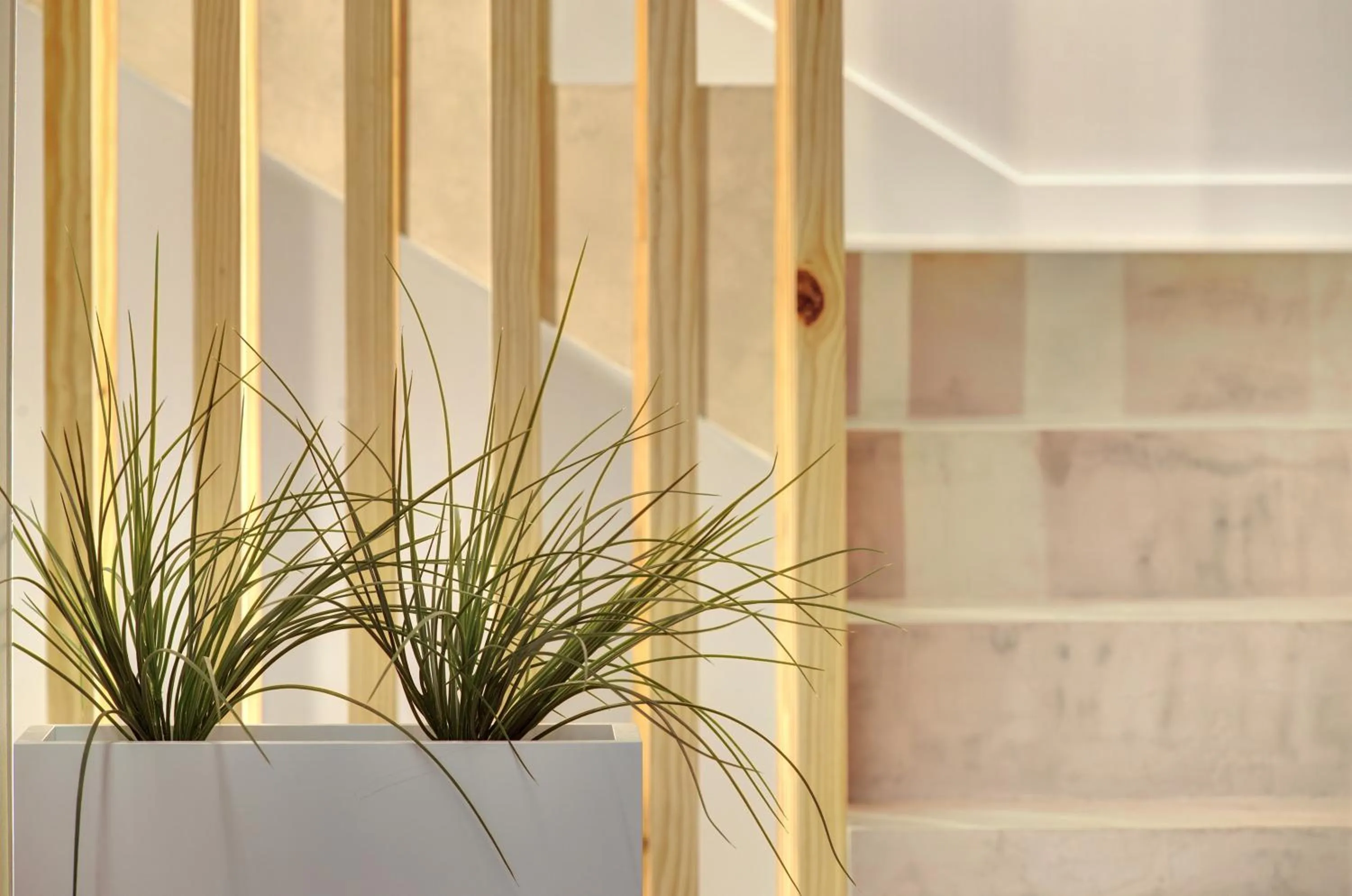 Property building in Hotel Lemik